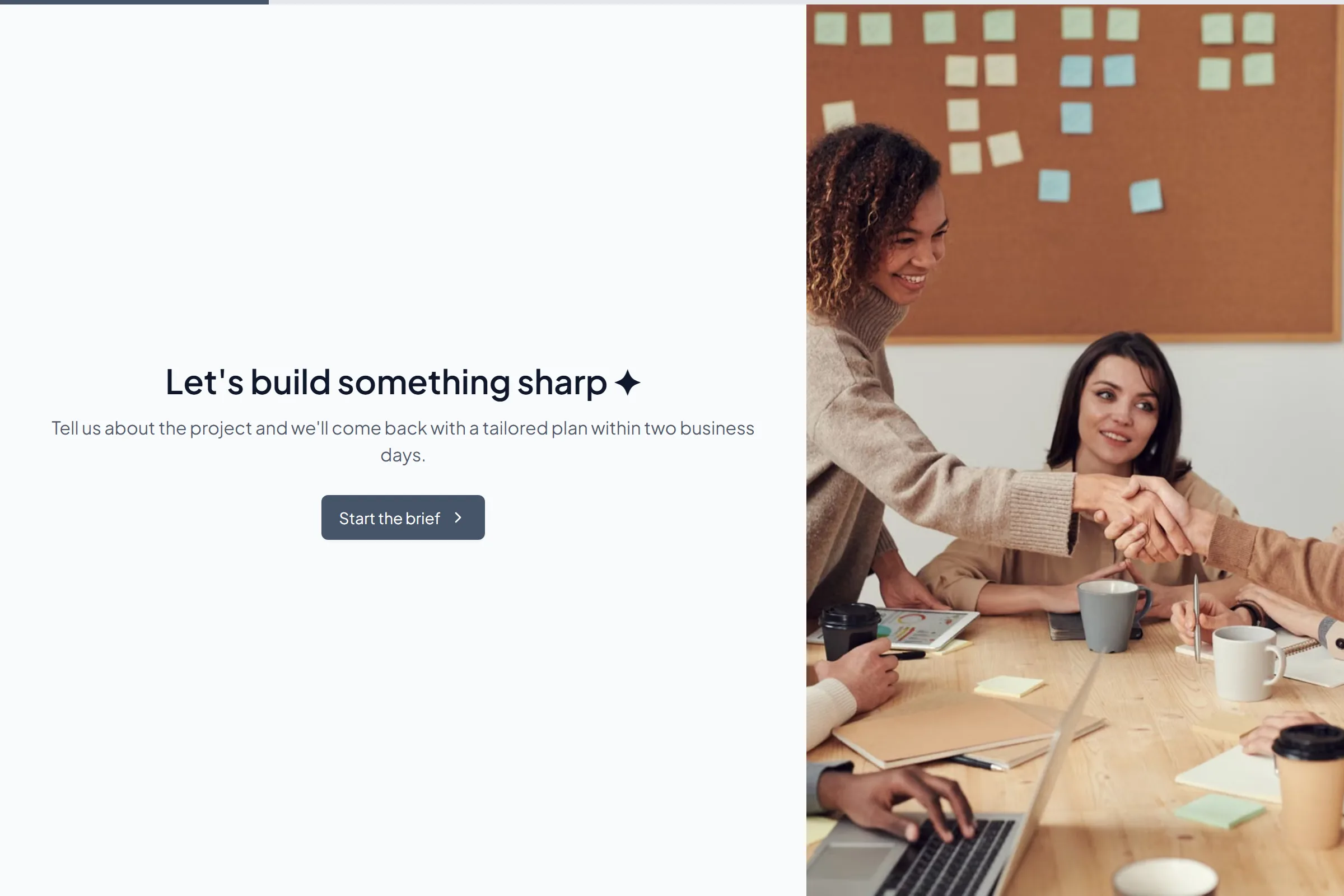 Agency Project Brief template preview