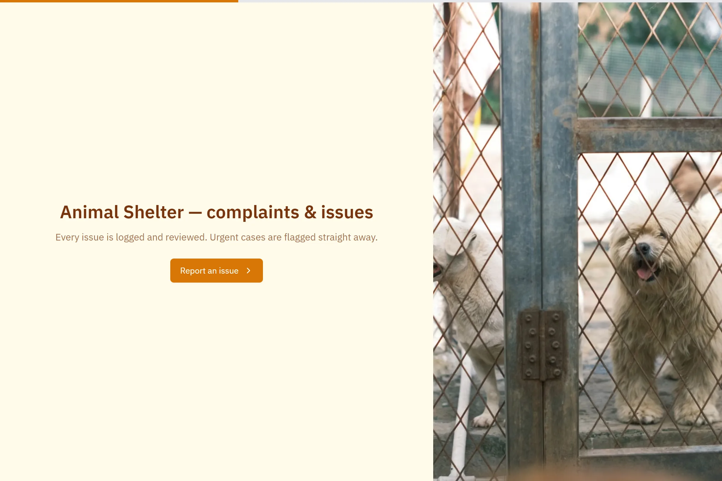 Animal Shelter Complaint / Issue Form template preview