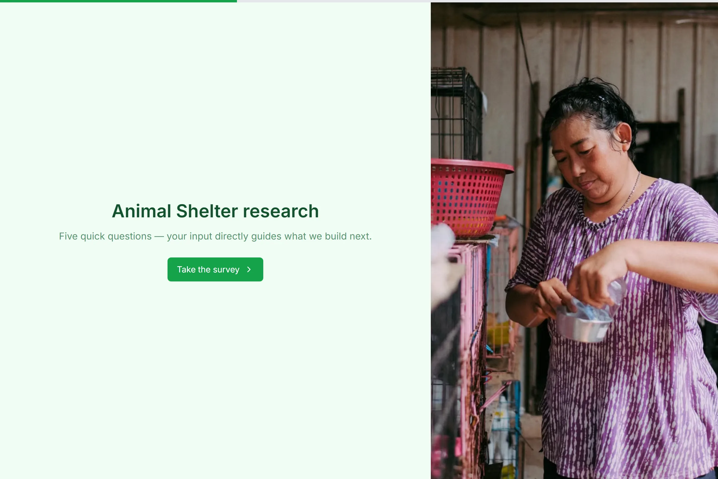 Animal Shelter Market Research Survey template preview
