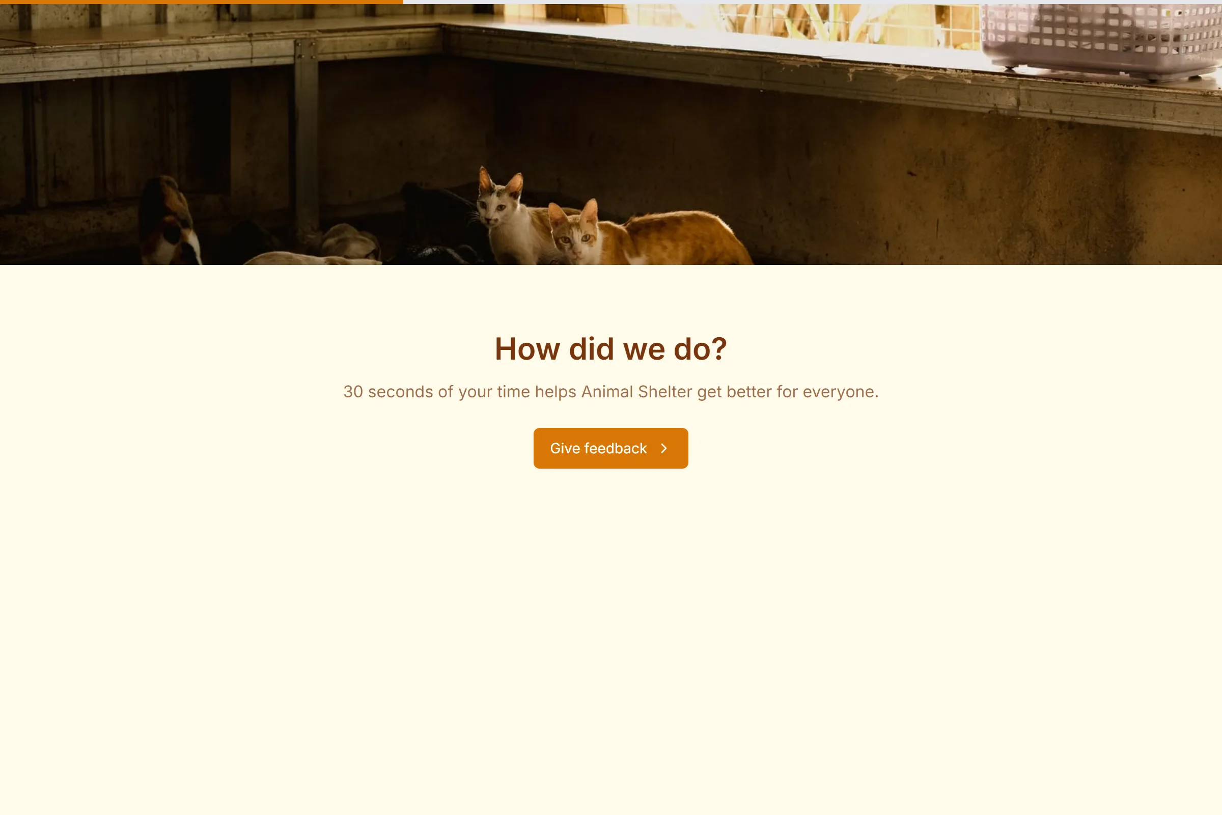 Animal Shelter Quick Feedback template preview