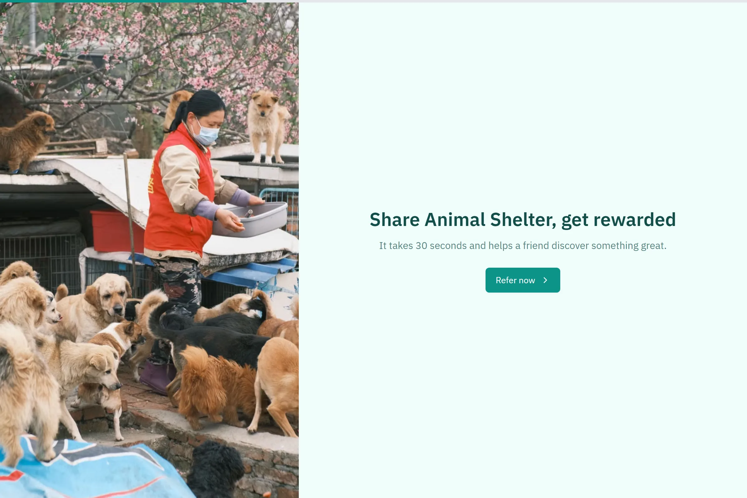 Animal Shelter Referral Form template preview