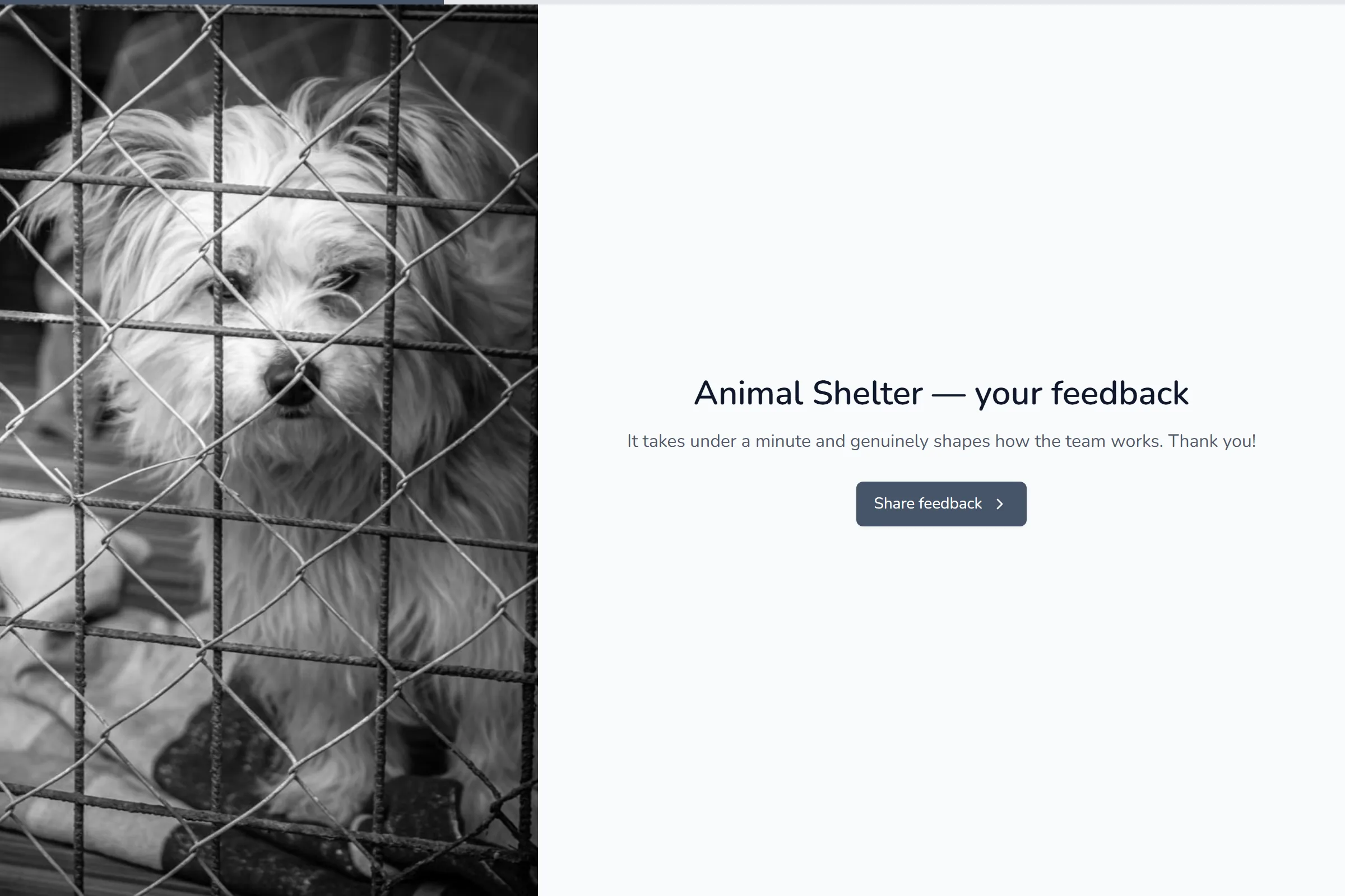 Animal Shelter Satisfaction Survey template preview