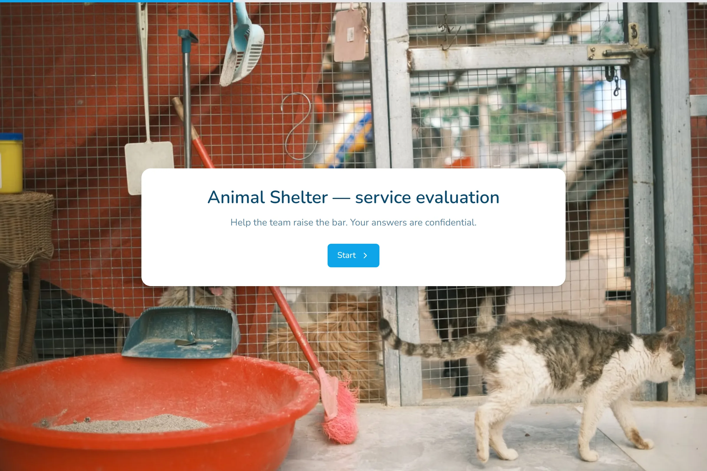 Animal Shelter Service Evaluation template preview