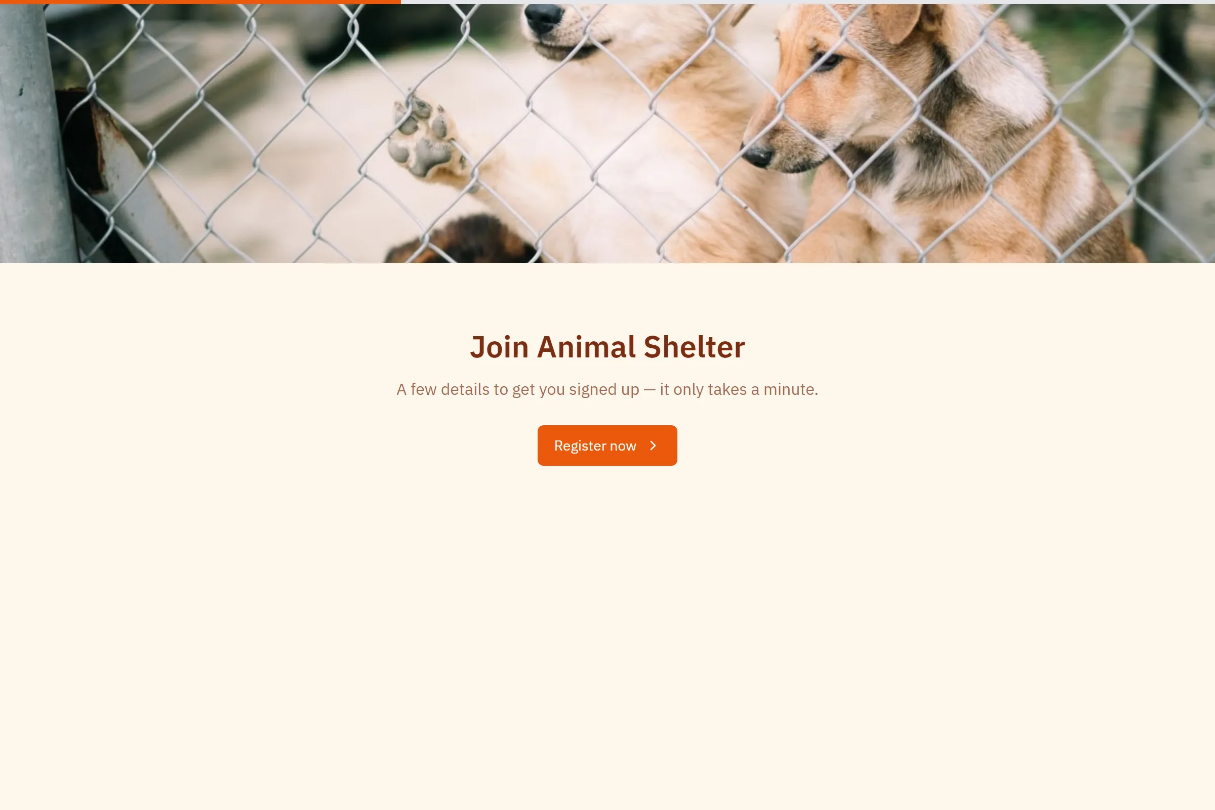 Animal Shelter Volunteer Application template preview