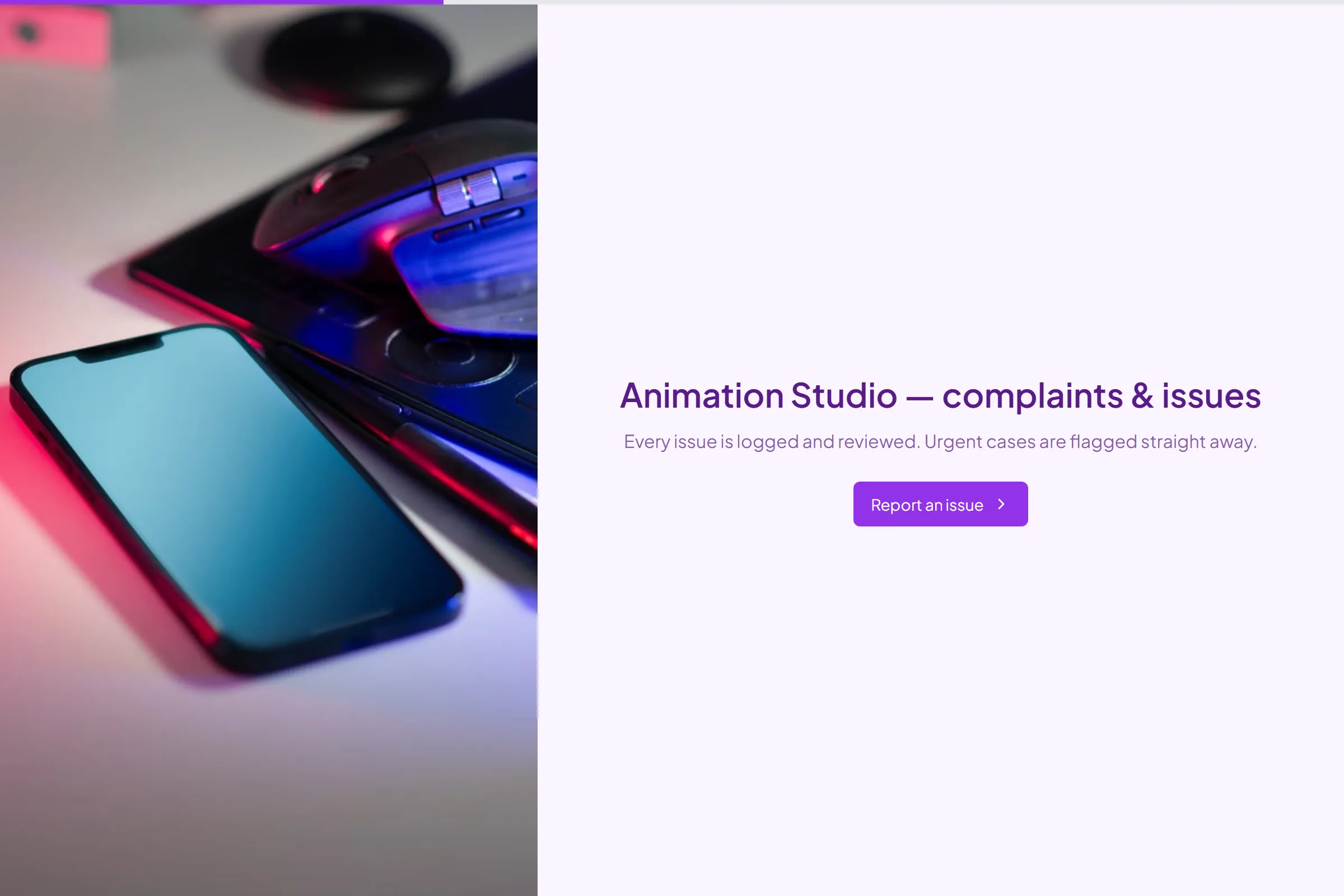 Animation Studio Complaint / Issue Form template preview