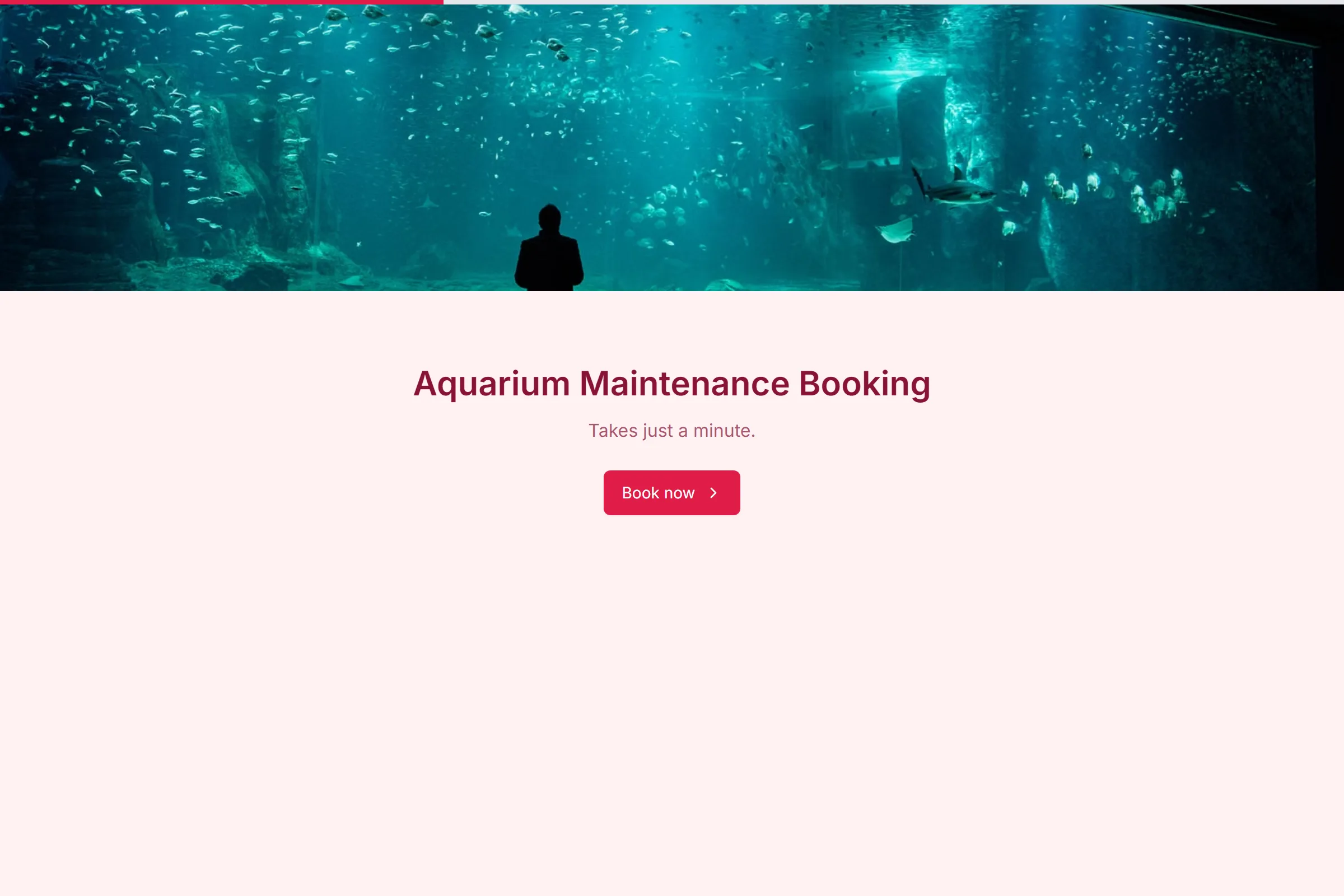Aquarium Maintenance Booking template preview