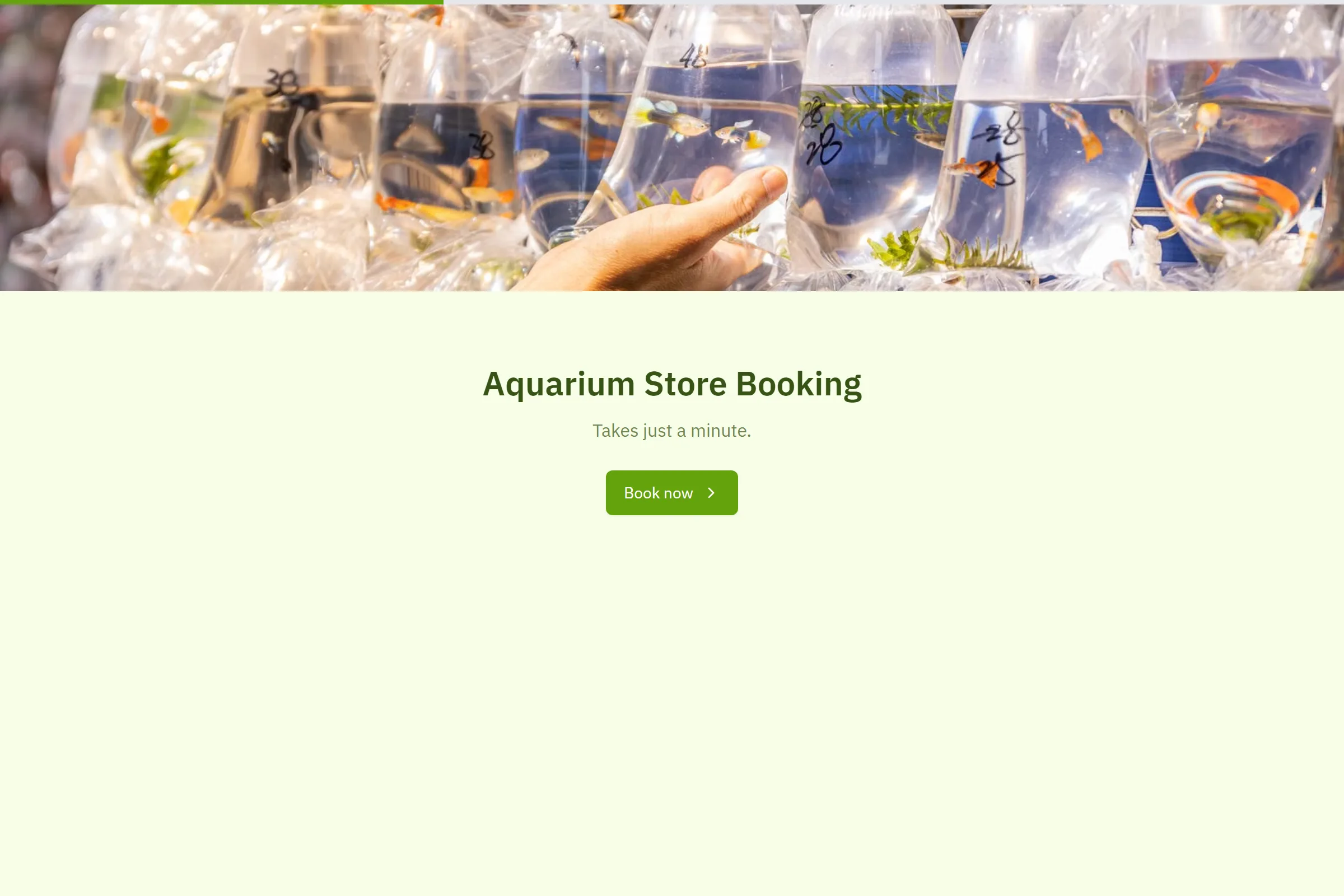 Aquarium Store Booking template preview