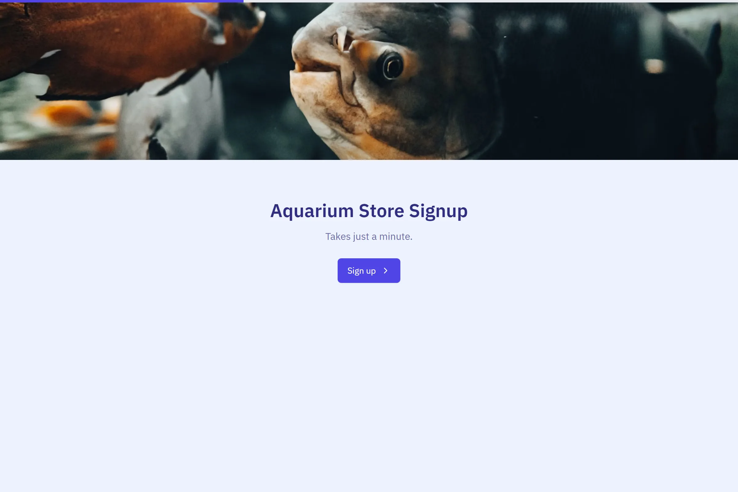 Aquarium Store Signup template preview