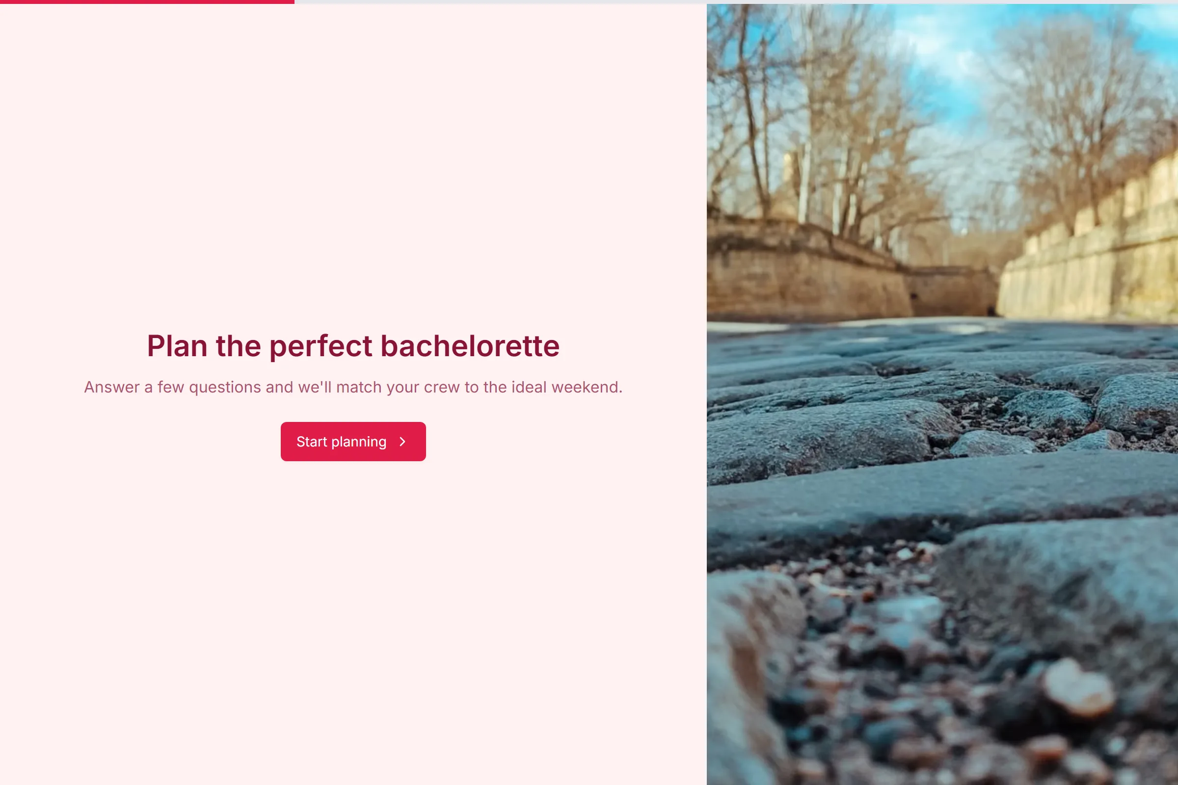 Bachelorette Weekend Planner template preview