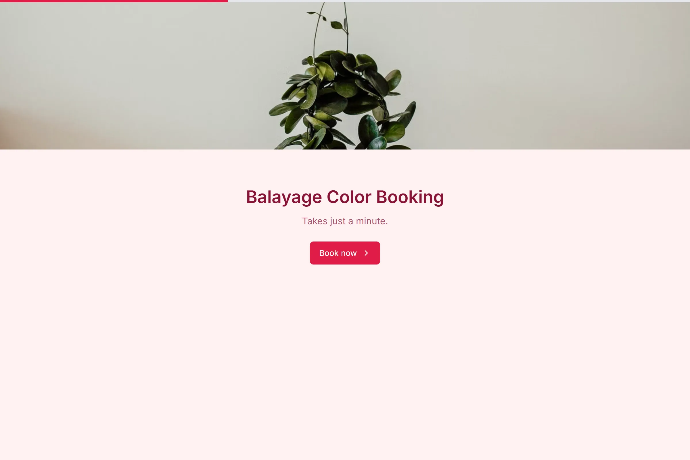 Balayage Color Booking template preview