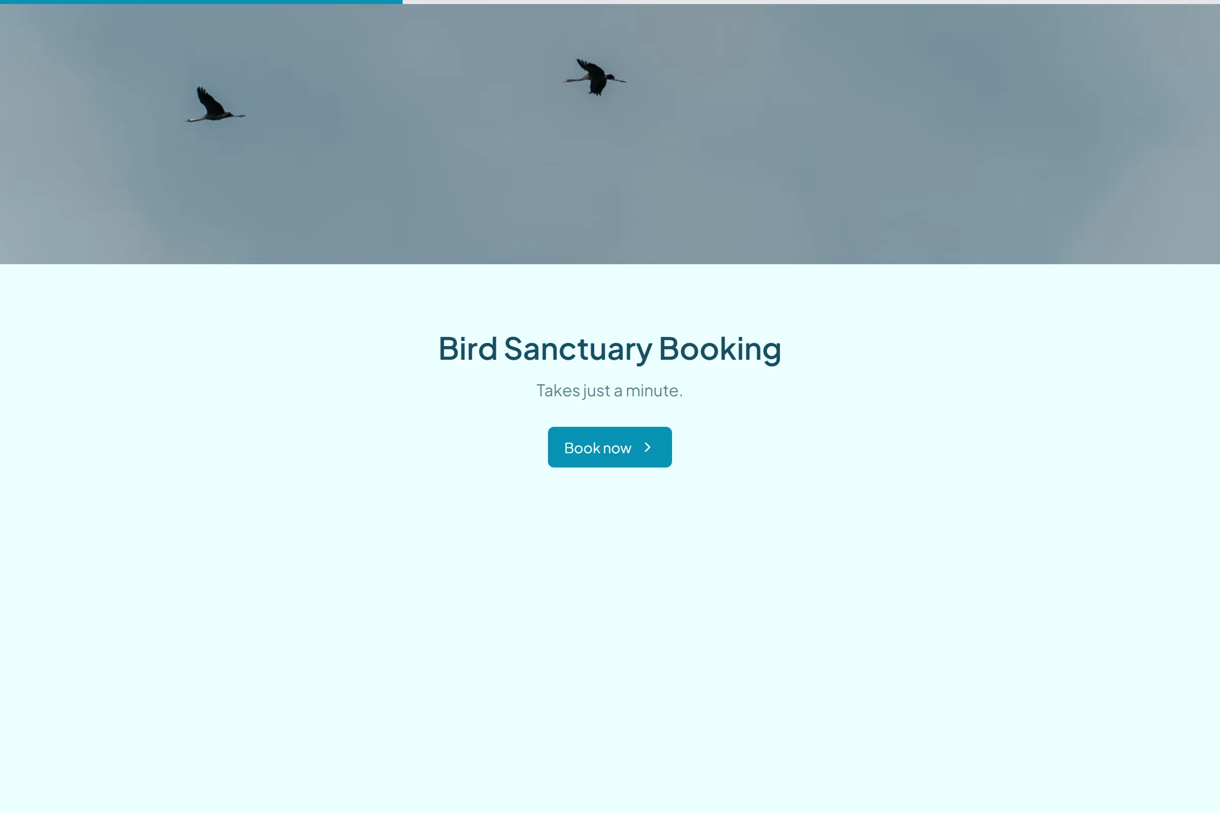 Bird Sanctuary Booking template preview