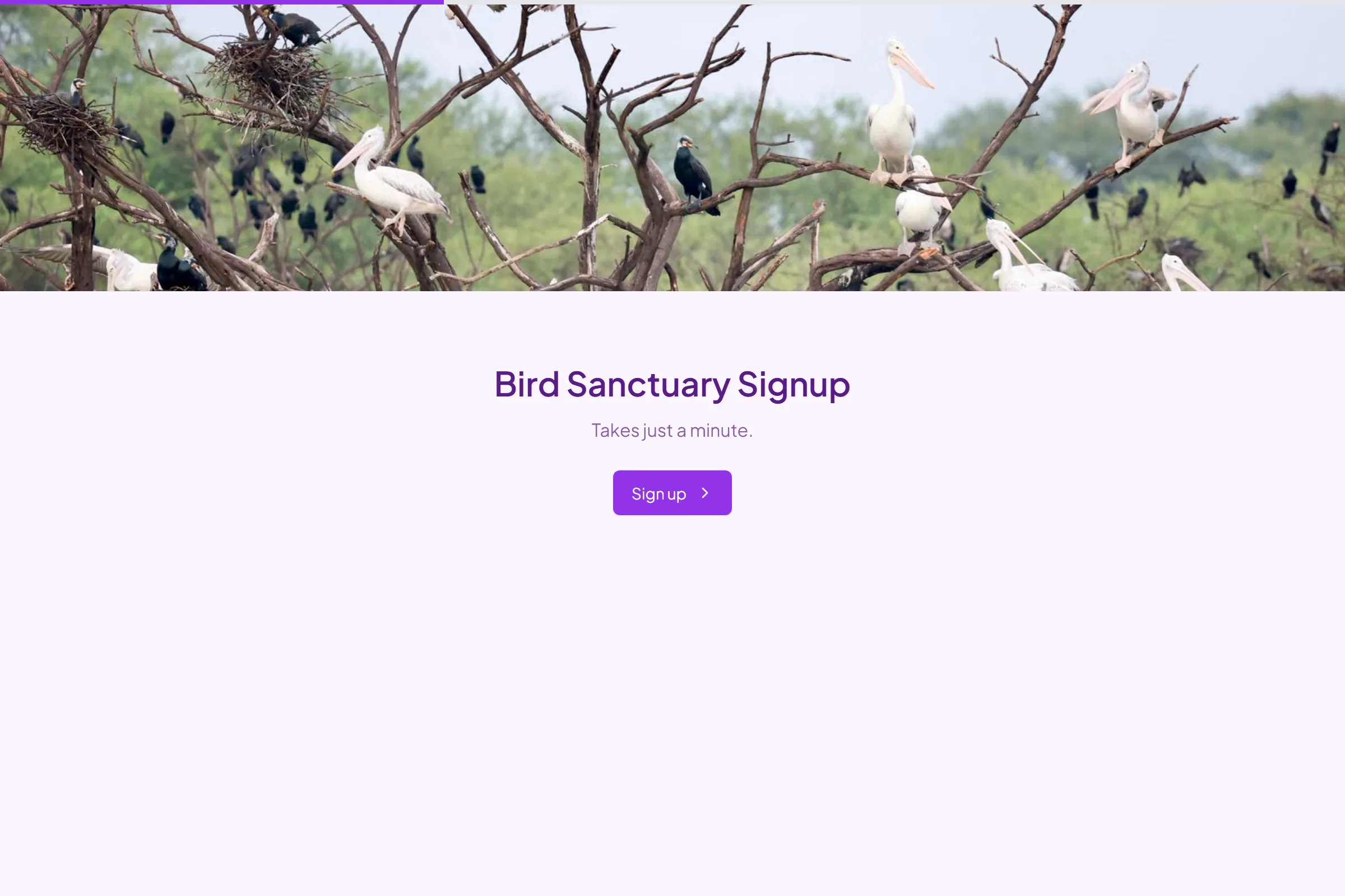 Bird Sanctuary Signup template preview