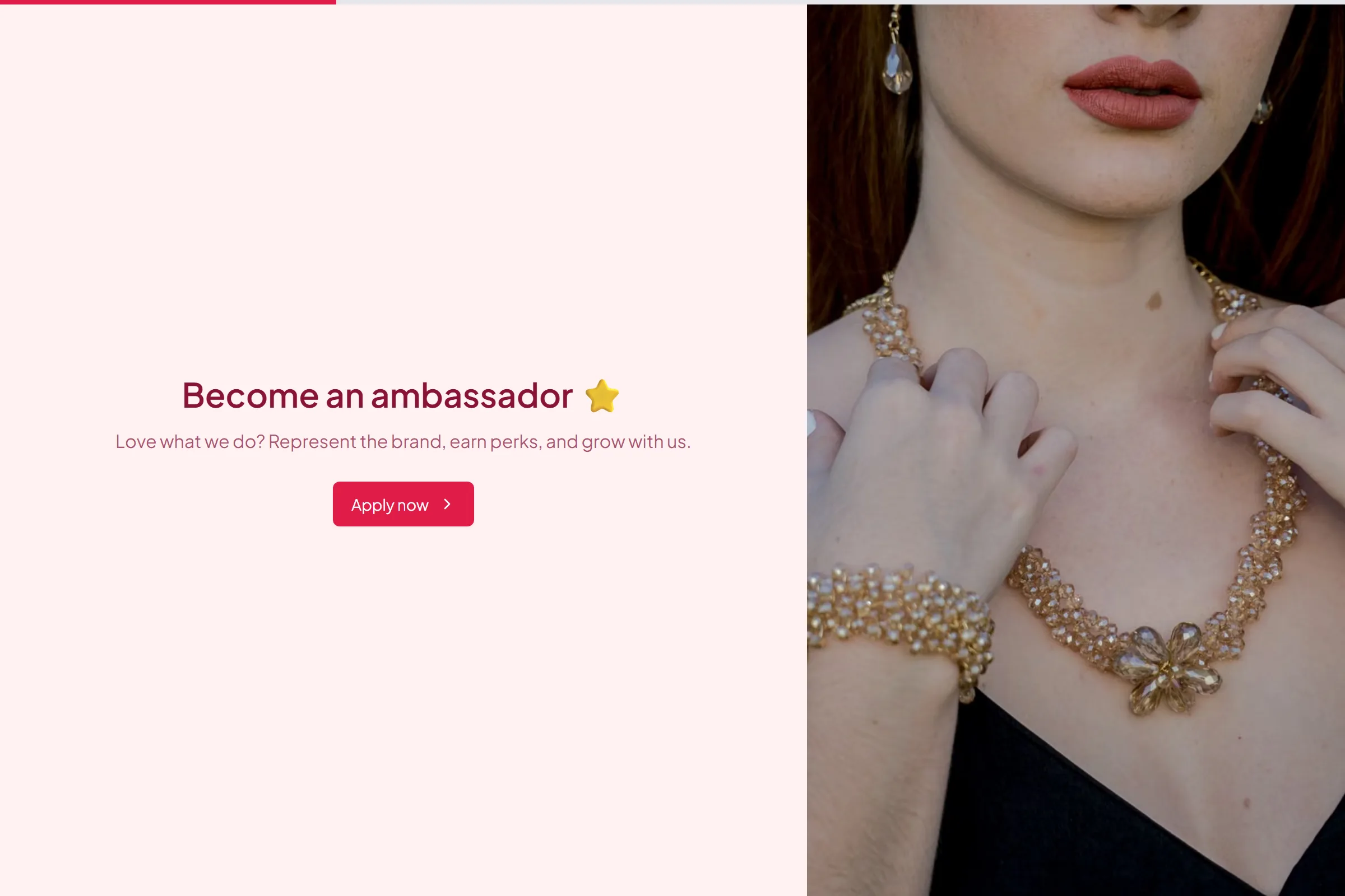 Brand Ambassador Application template preview