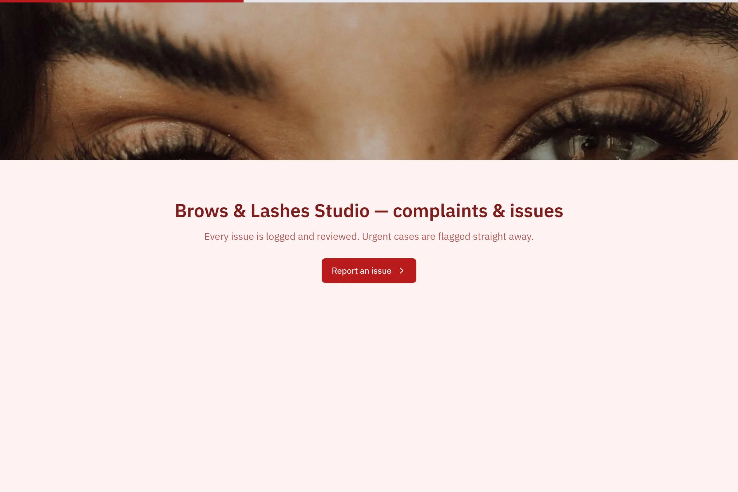 Brows & Lashes Studio Complaint / Issue Form template preview