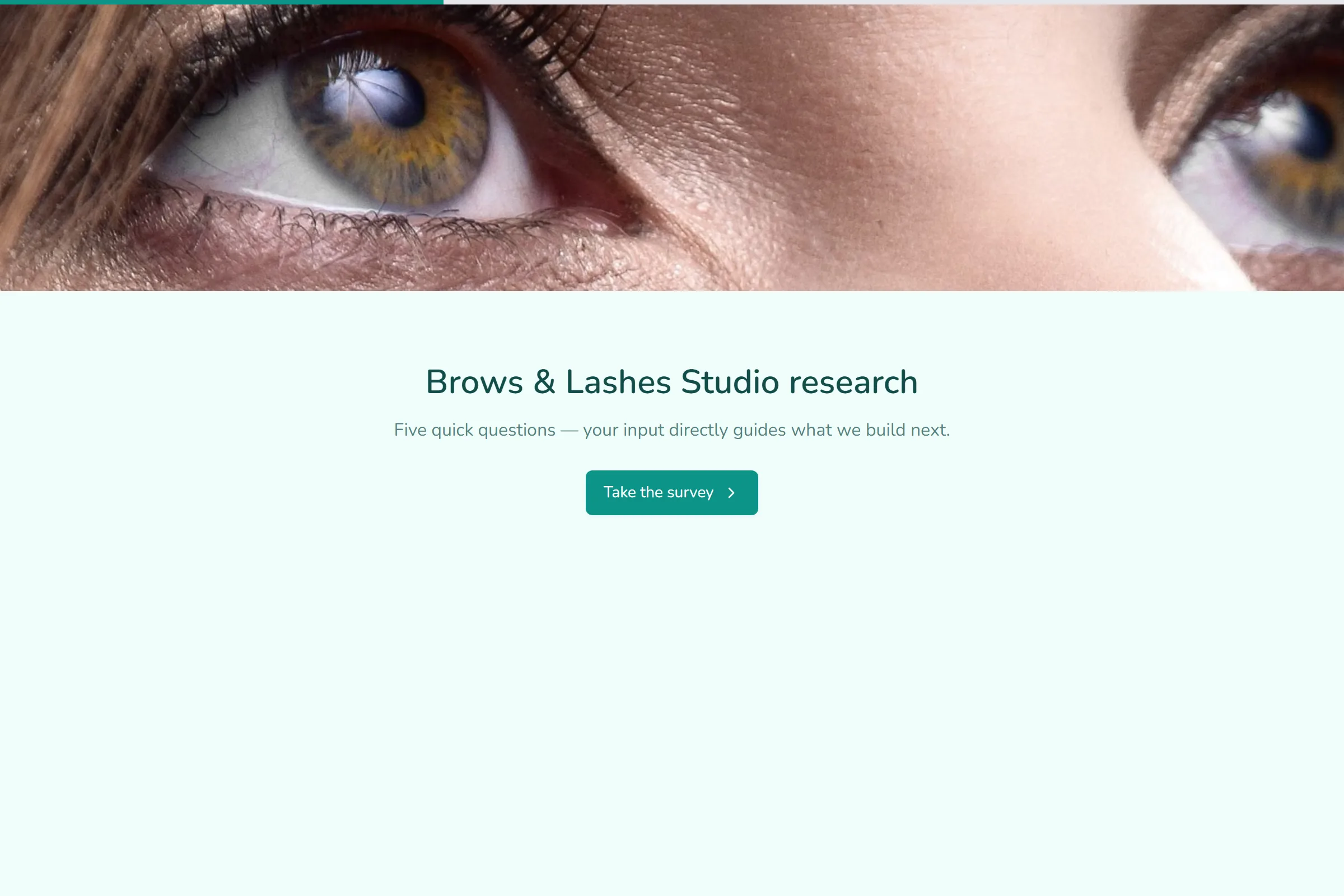 Brows & Lashes Studio Market Research Survey template preview