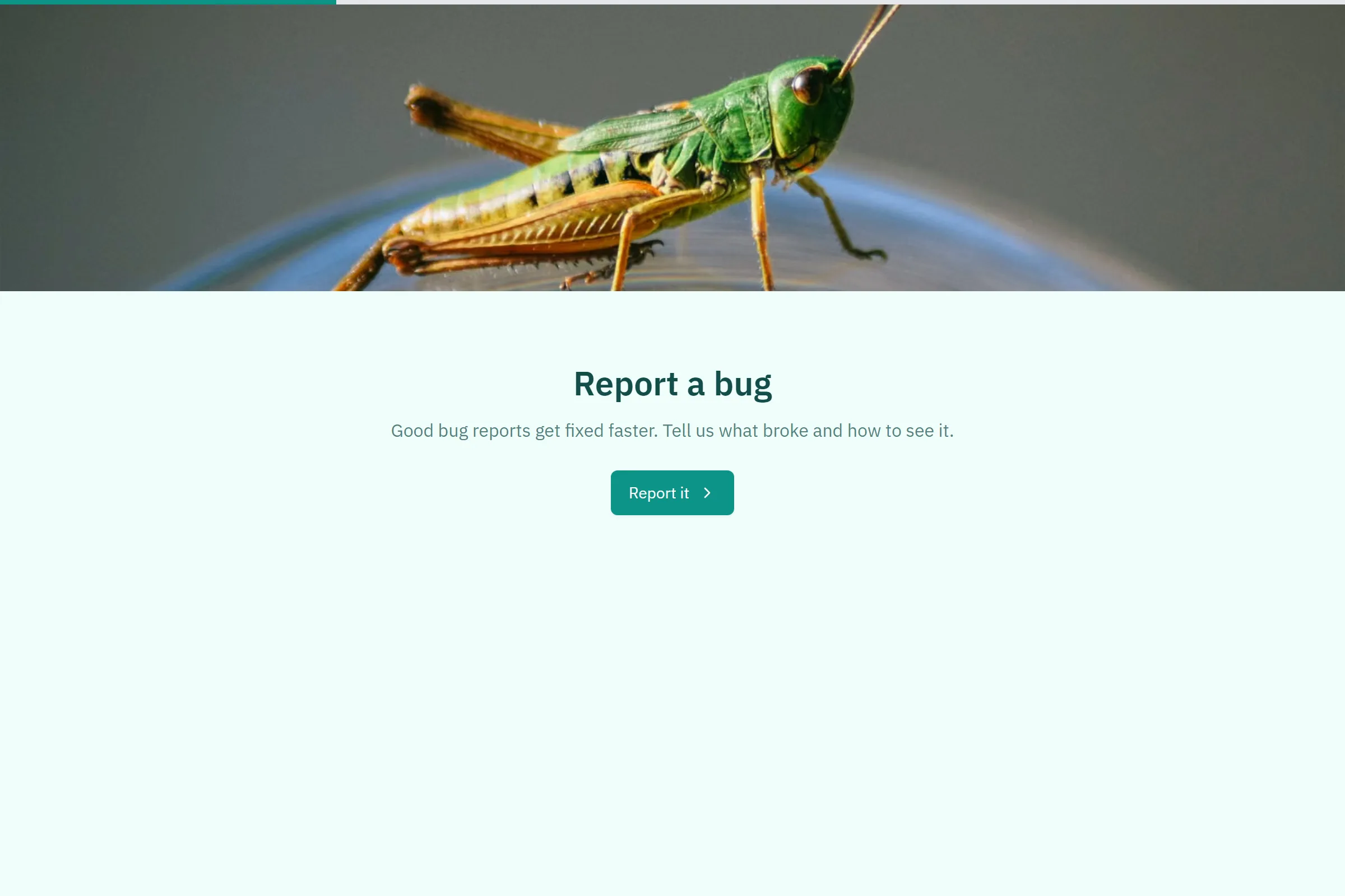 Bug Report & Severity Intake template preview