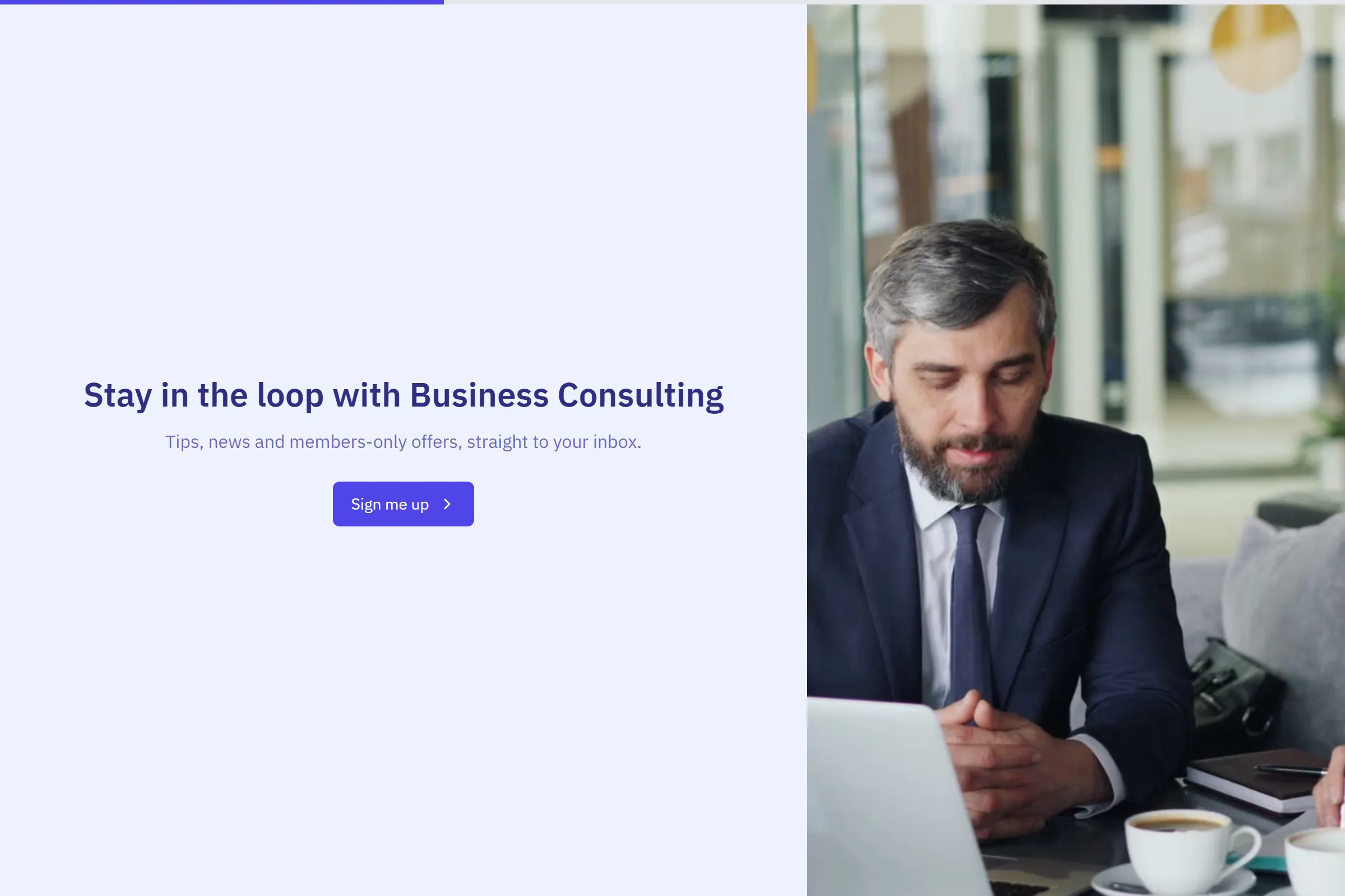 Business Consulting Newsletter & Updates Signup template preview