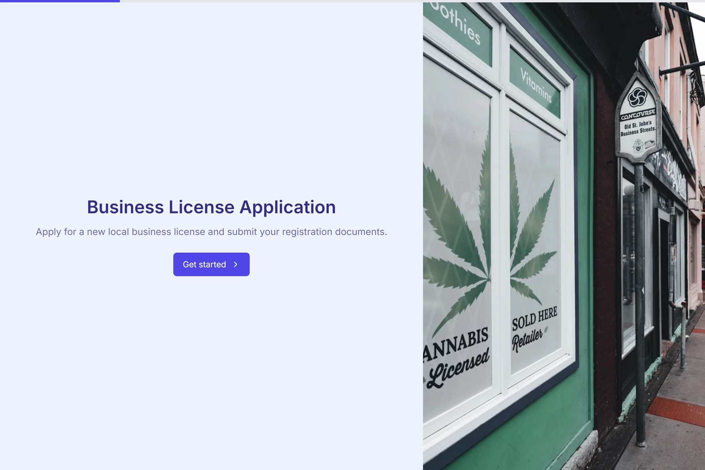 Business License Application template preview