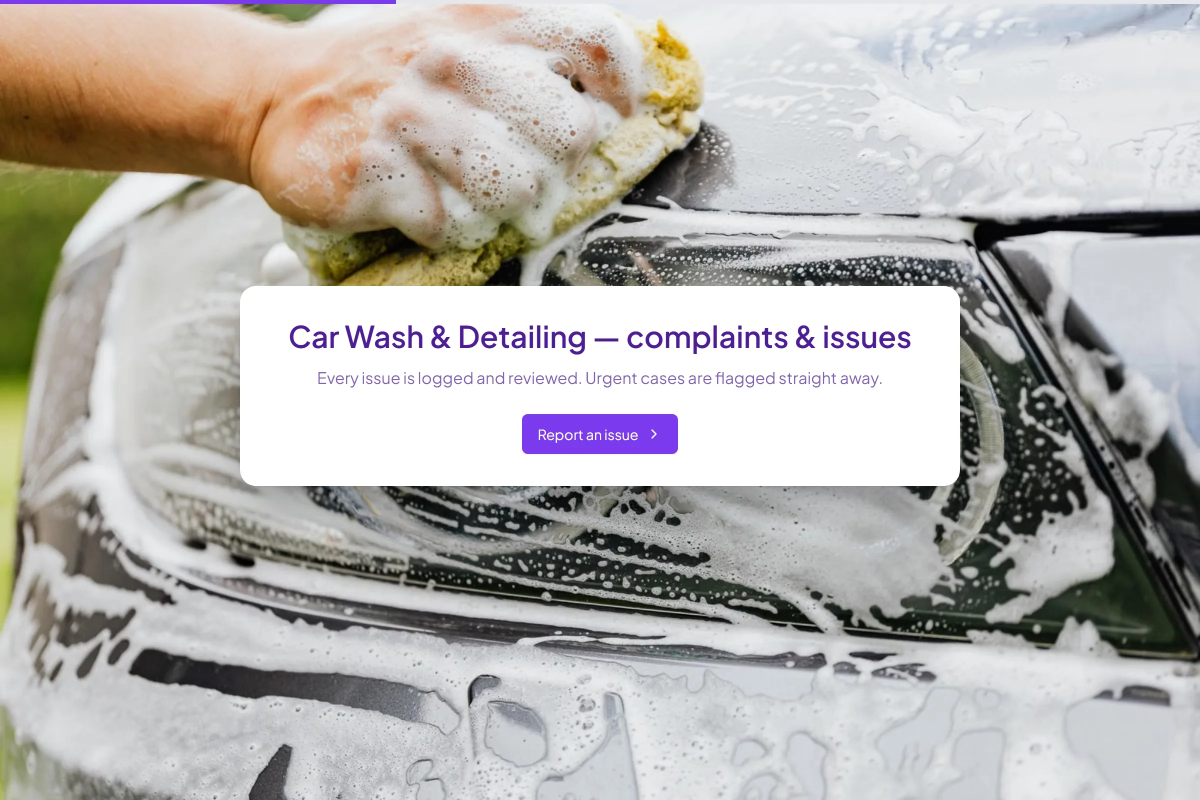 Car Wash & Detailing Complaint / Issue Form template preview