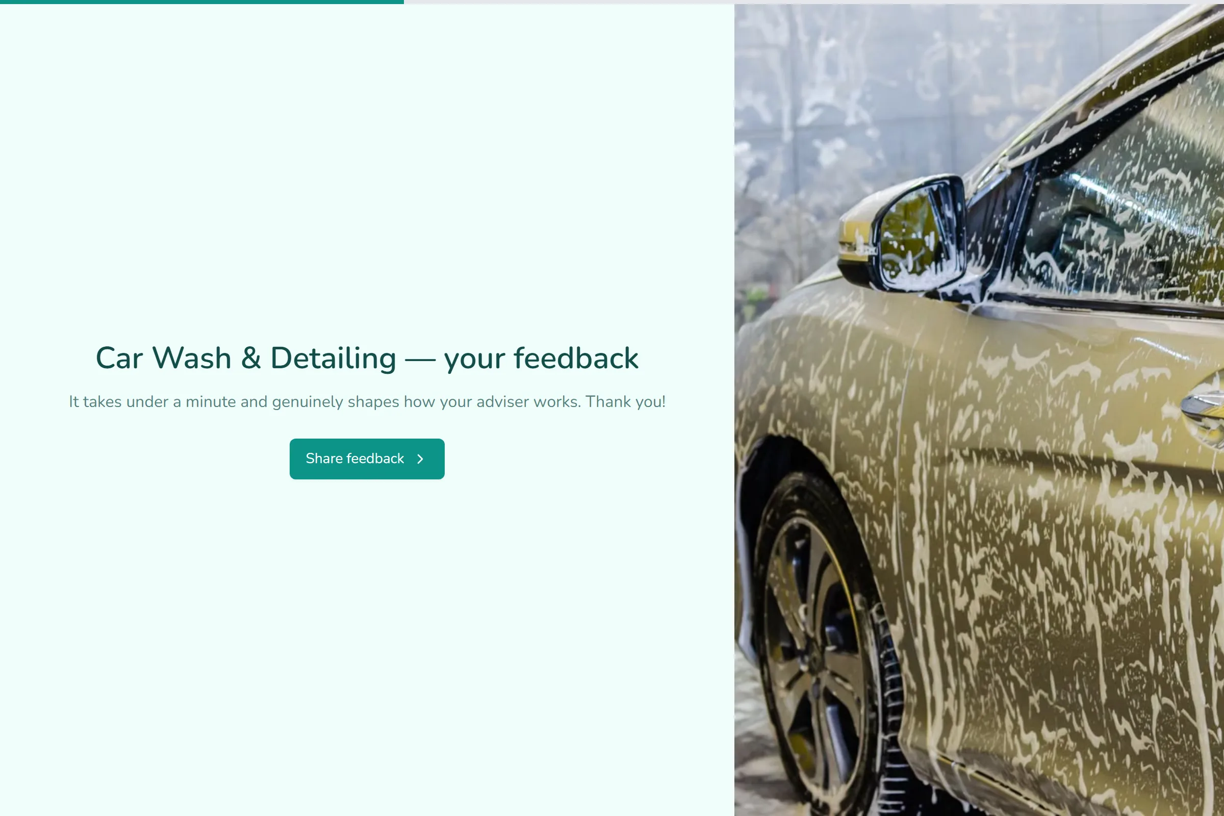 Car Wash & Detailing Satisfaction Survey template preview