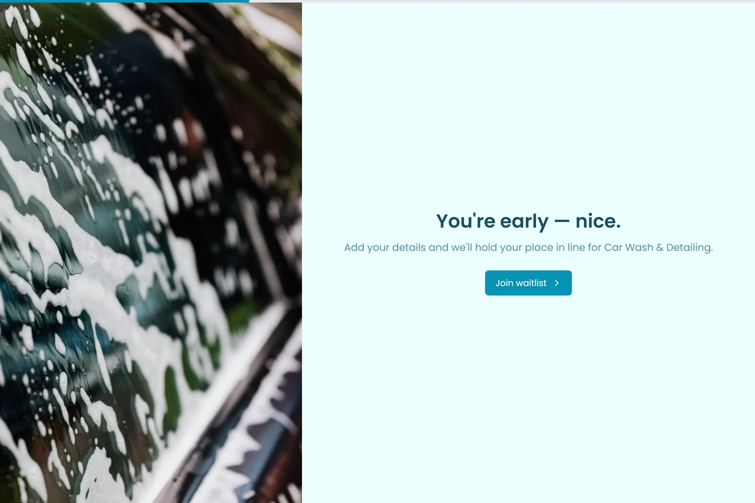 Car Wash & Detailing Waitlist template preview