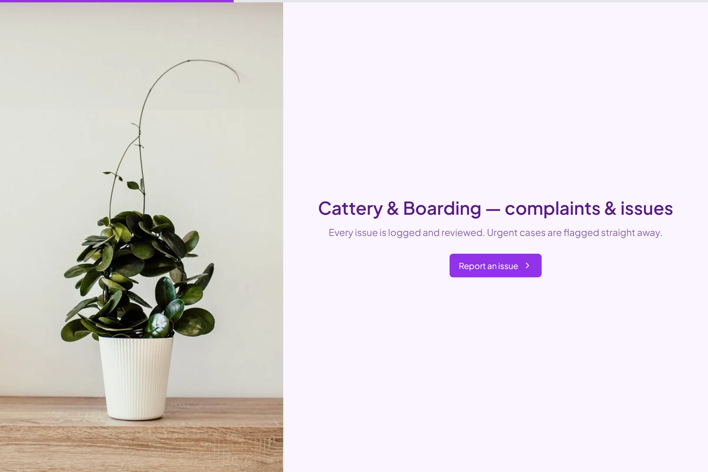 Cattery & Boarding Complaint / Issue Form template preview