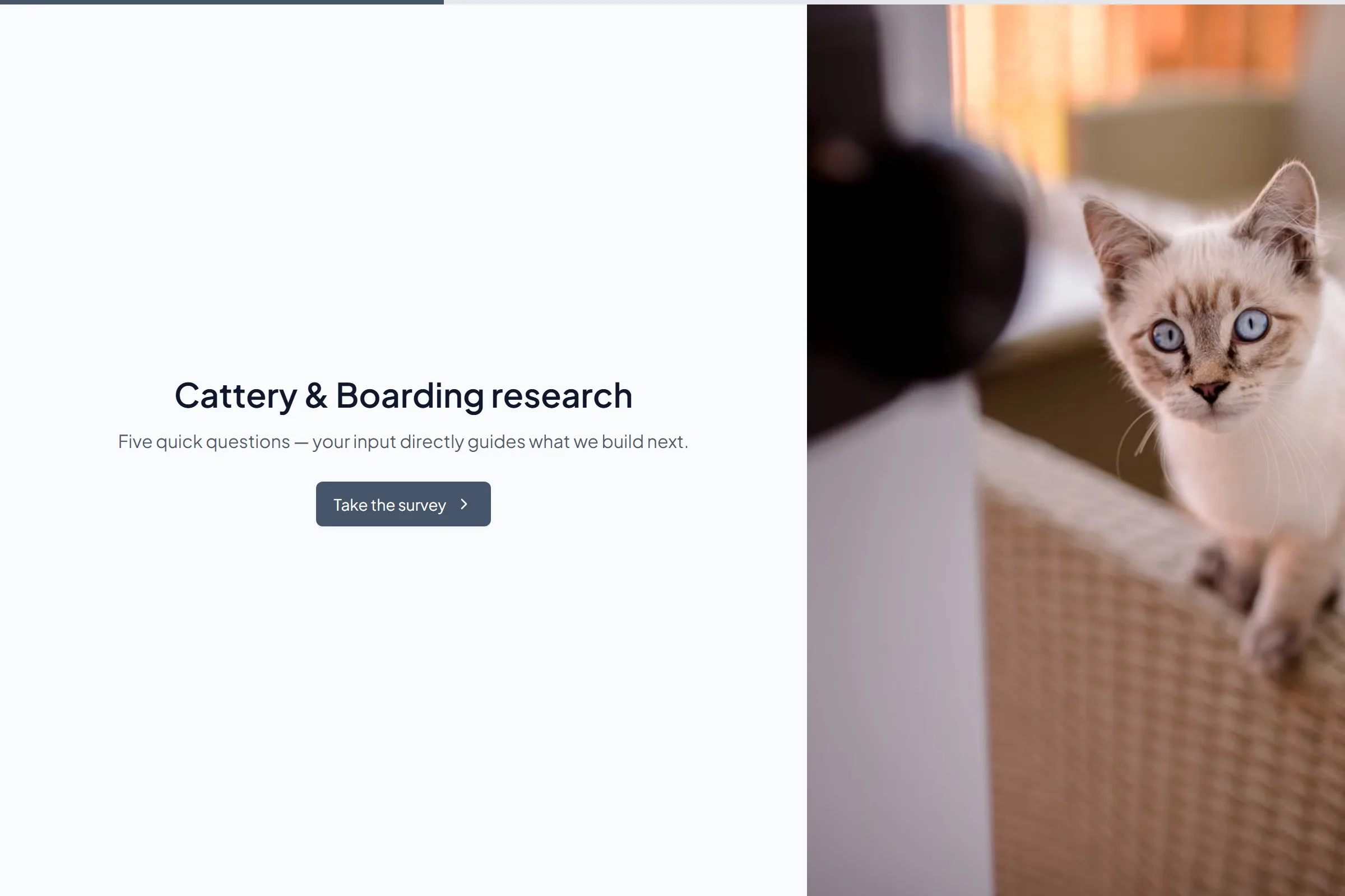Cattery & Boarding Market Research Survey template preview
