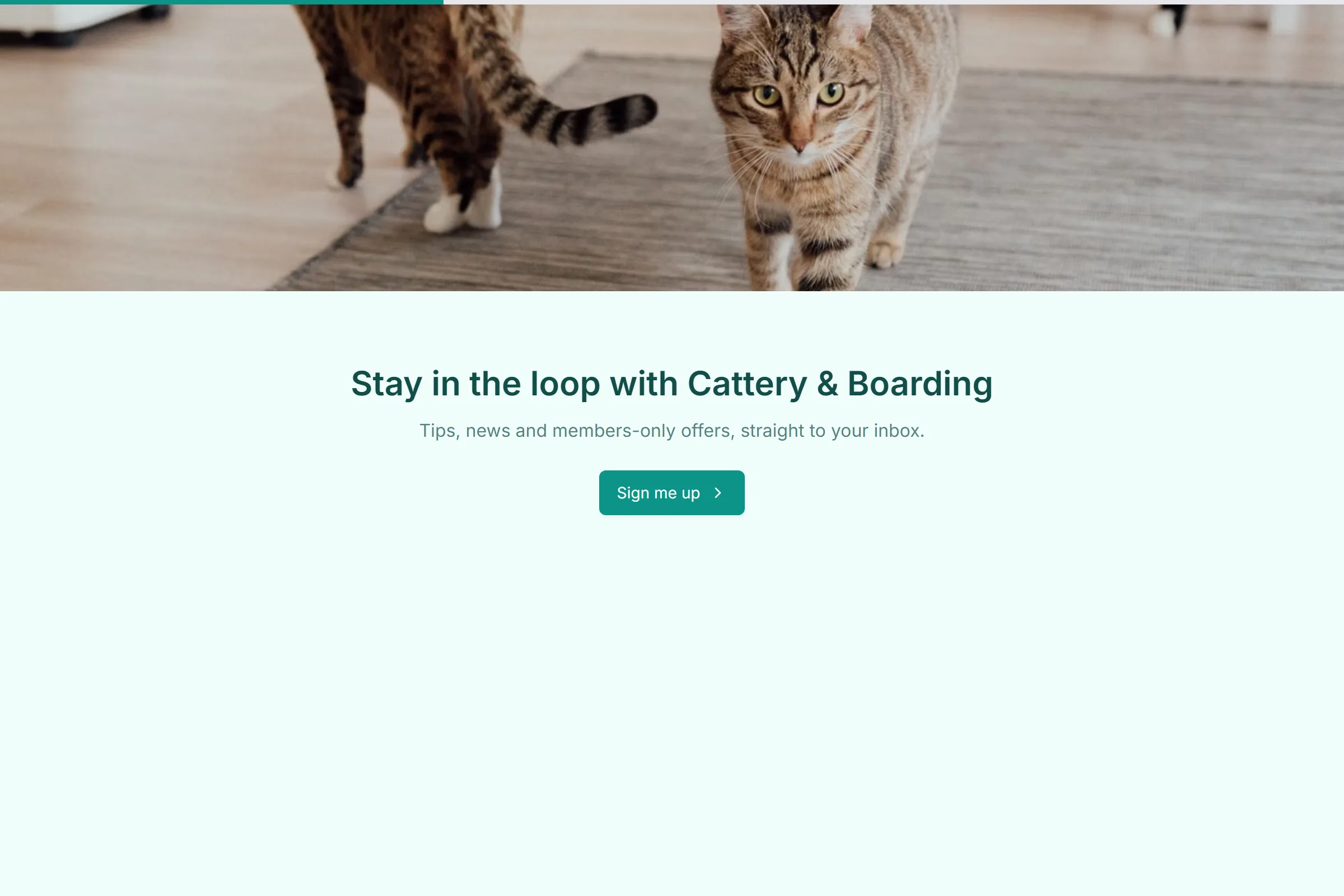 Cattery & Boarding Newsletter & Updates Signup template preview