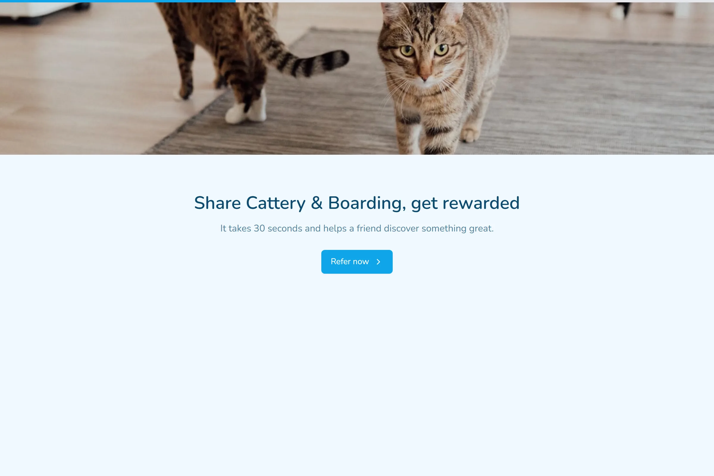 Cattery & Boarding Referral Form template preview