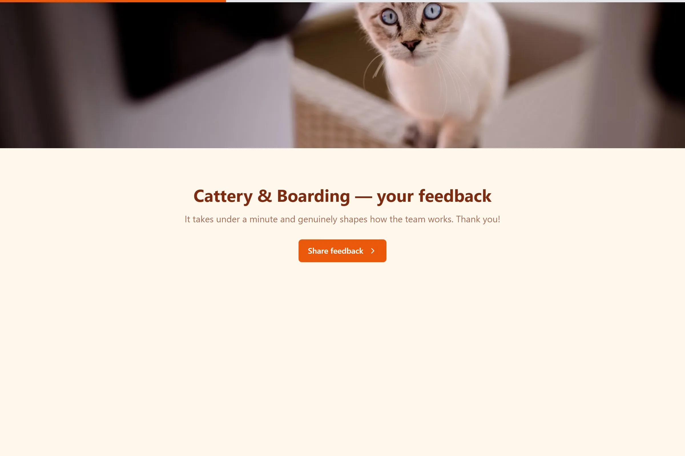 Cattery & Boarding Satisfaction Survey template preview