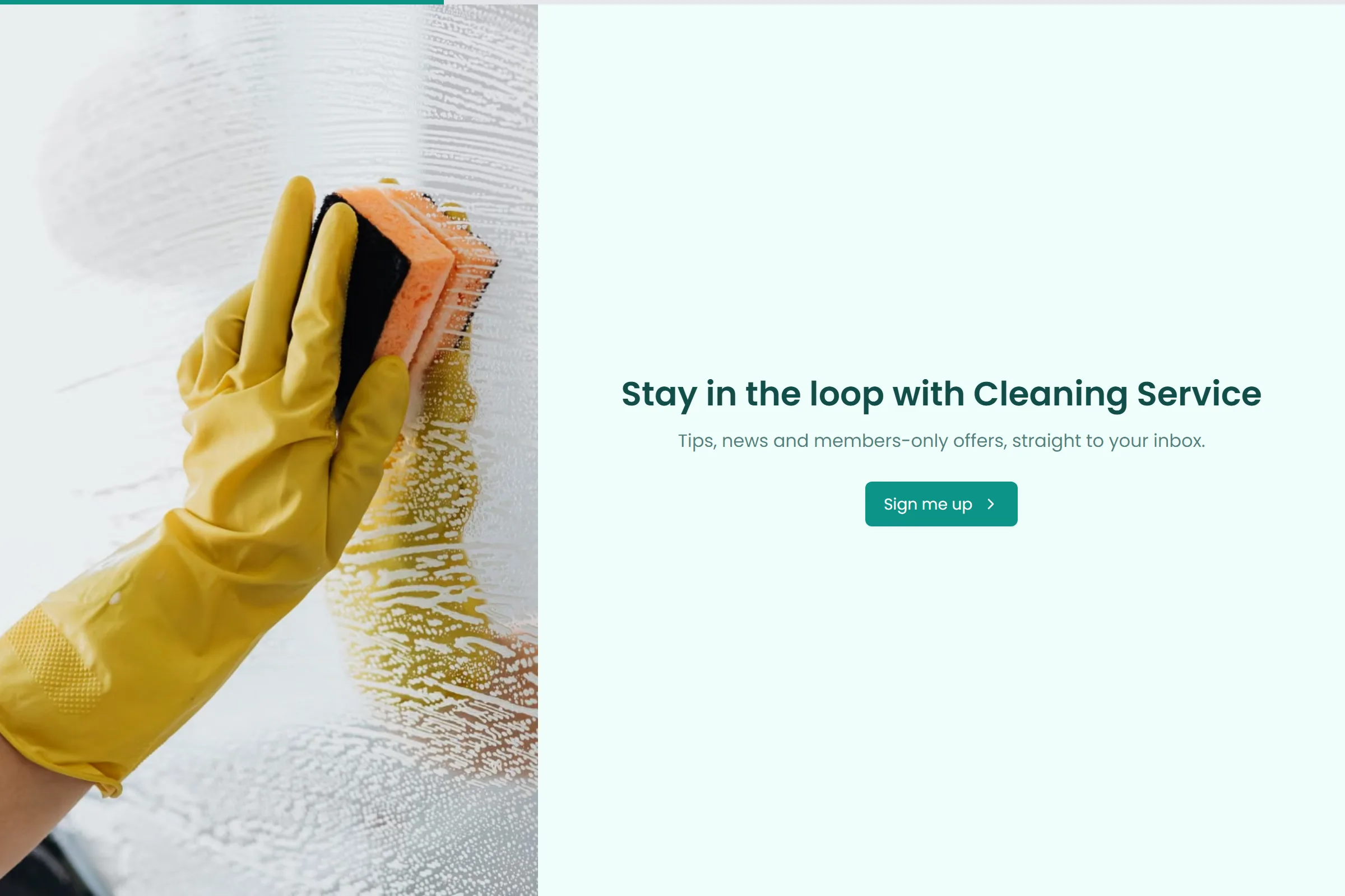 Cleaning Service Newsletter & Updates Signup template preview