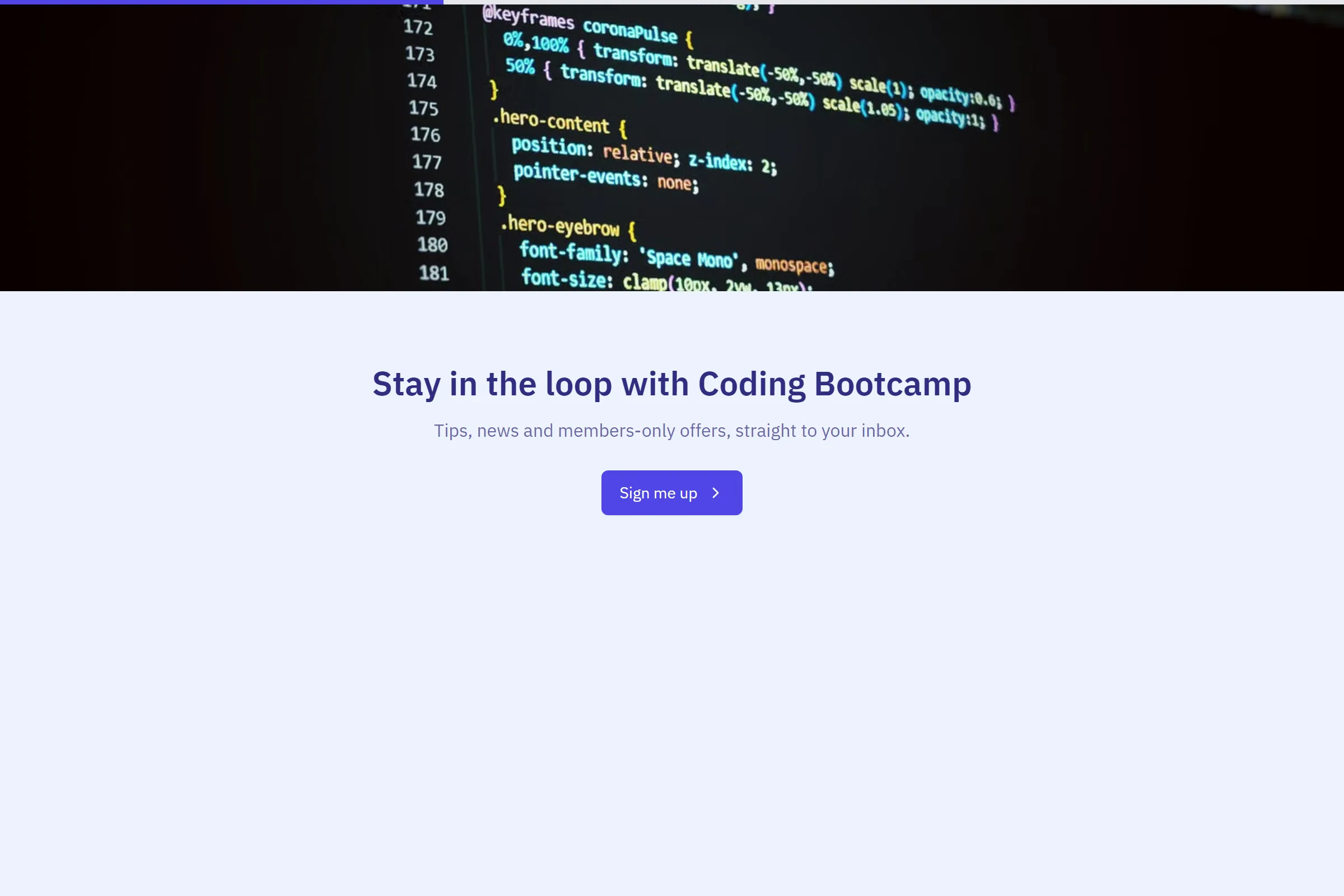 Coding Bootcamp Newsletter & Updates Signup template preview