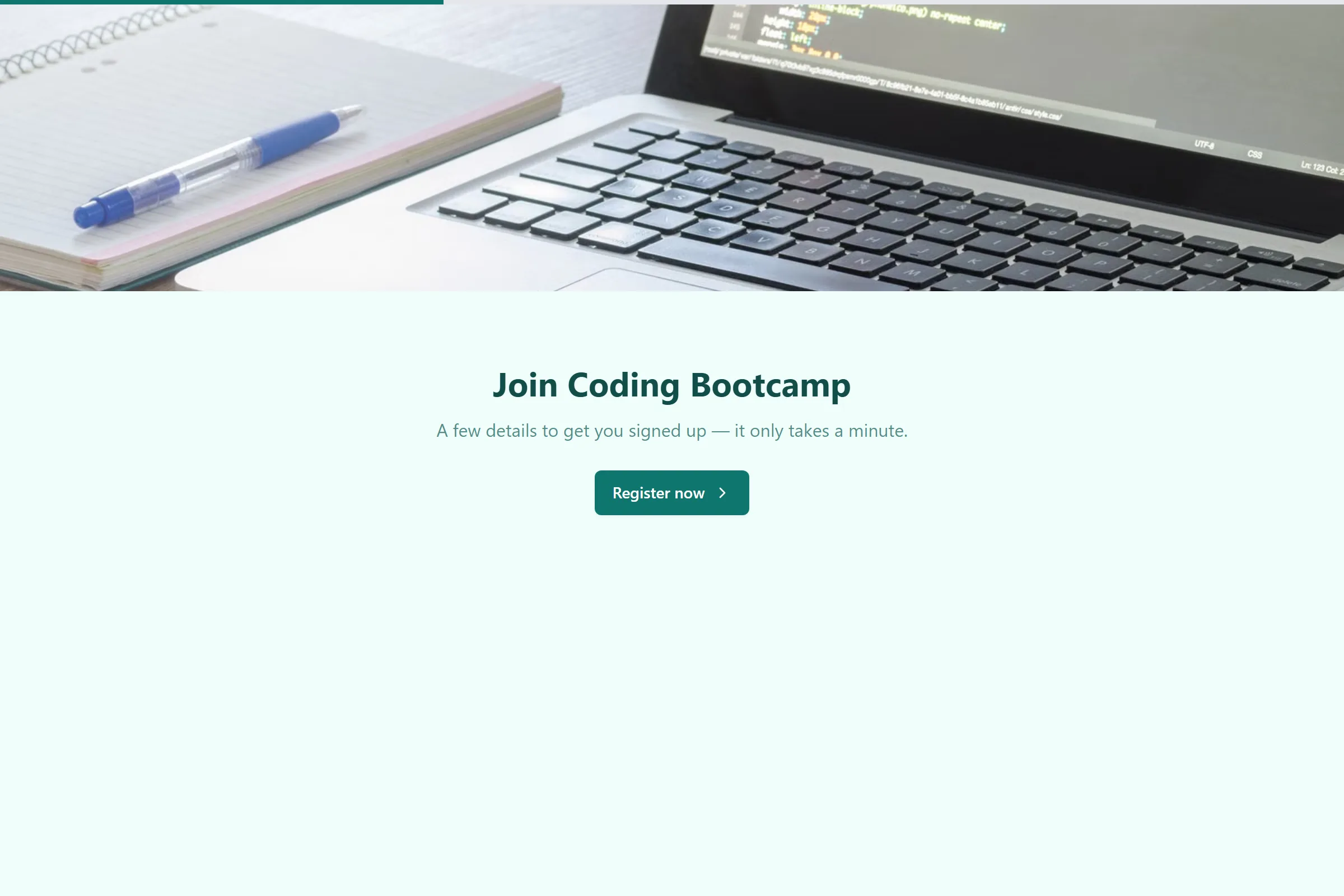 Coding Bootcamp Program Application template preview