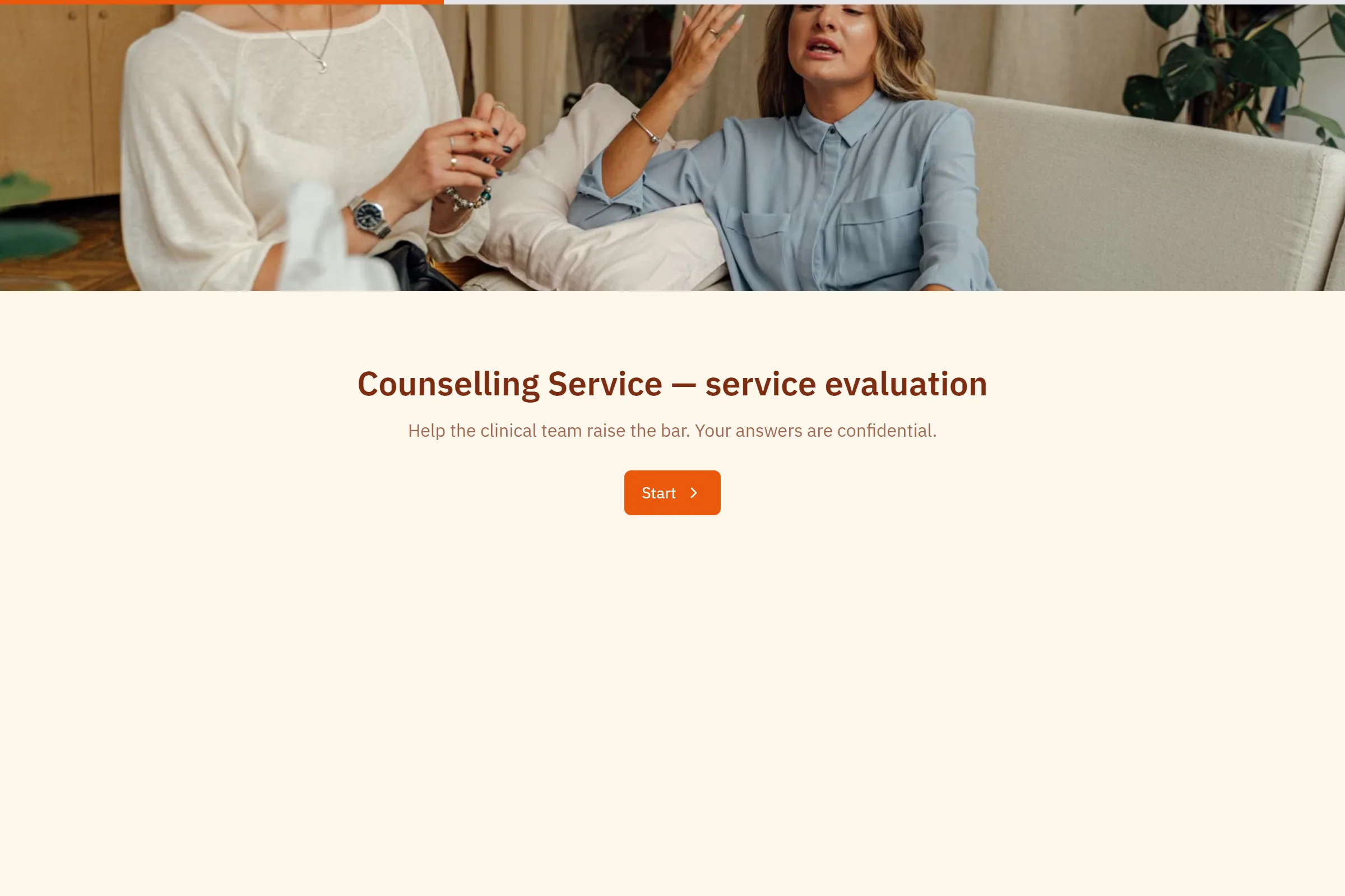 Counselling Service Service Evaluation template preview