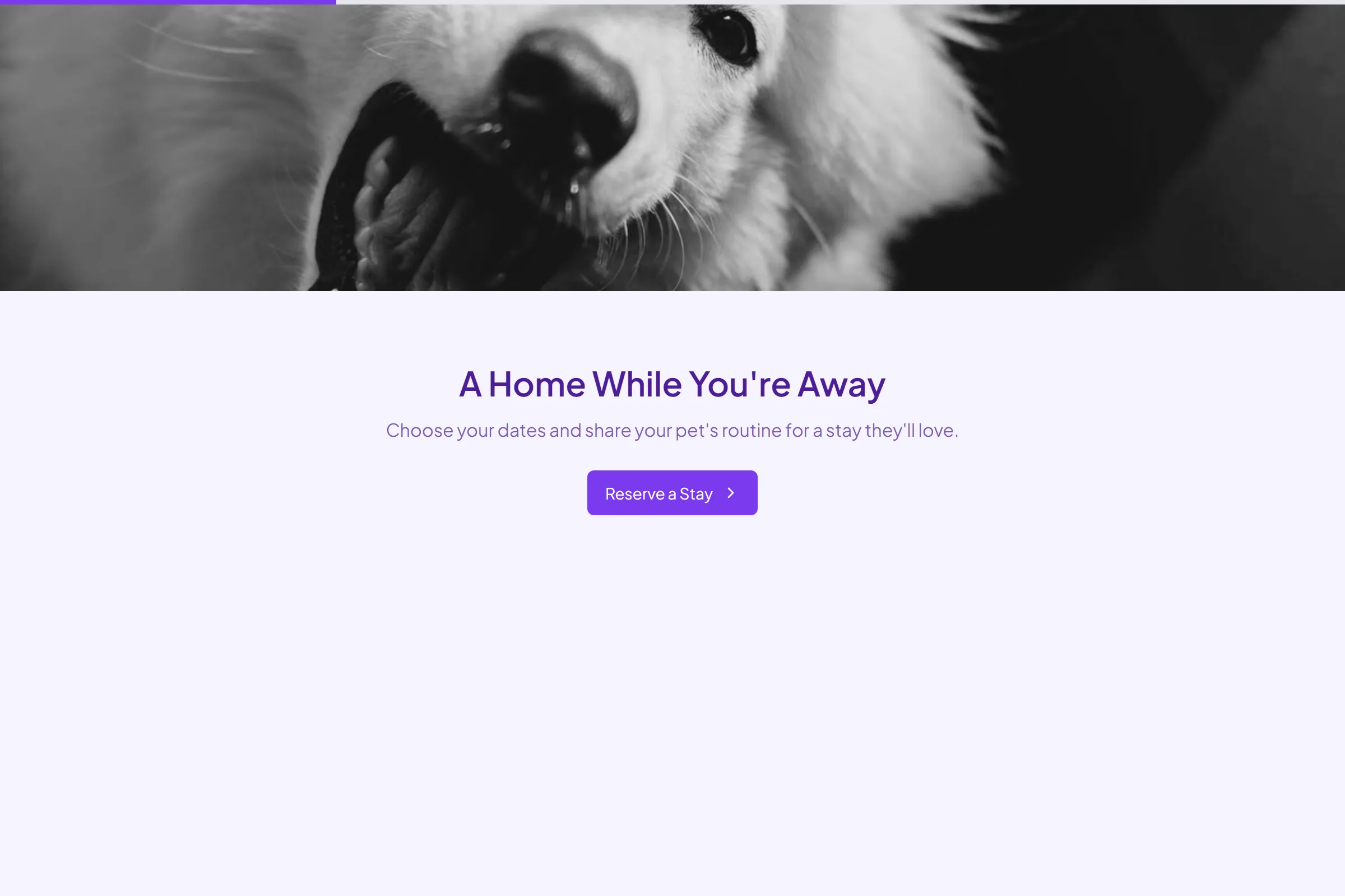 Cozy Paws Boarding Reservation template preview