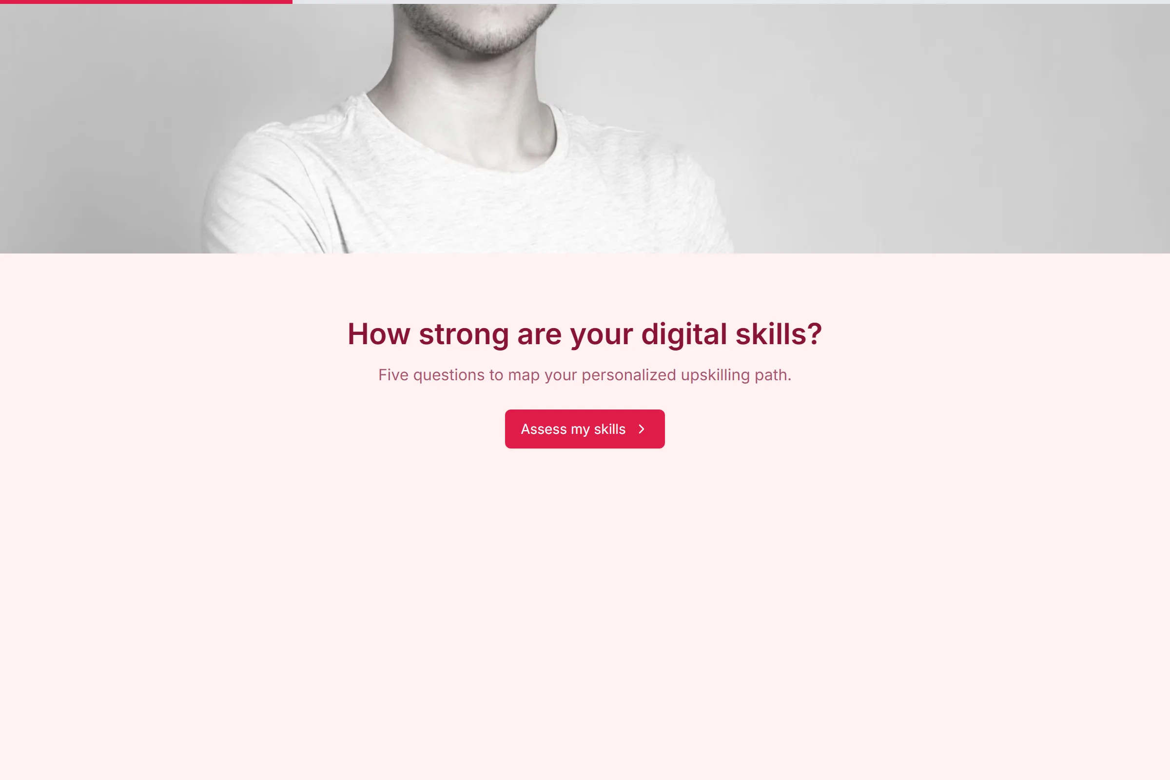 Digital Skills Assessment template preview
