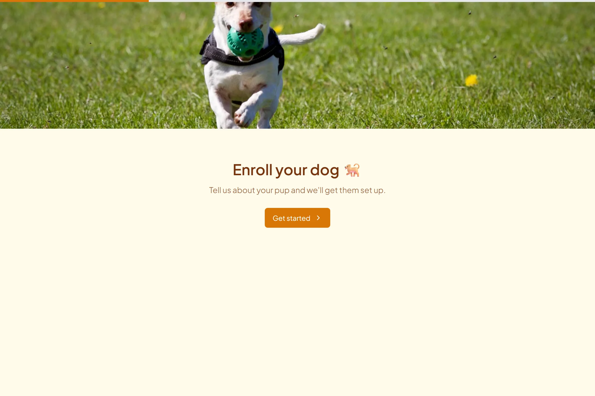 Dog Daycare Enrollment template preview