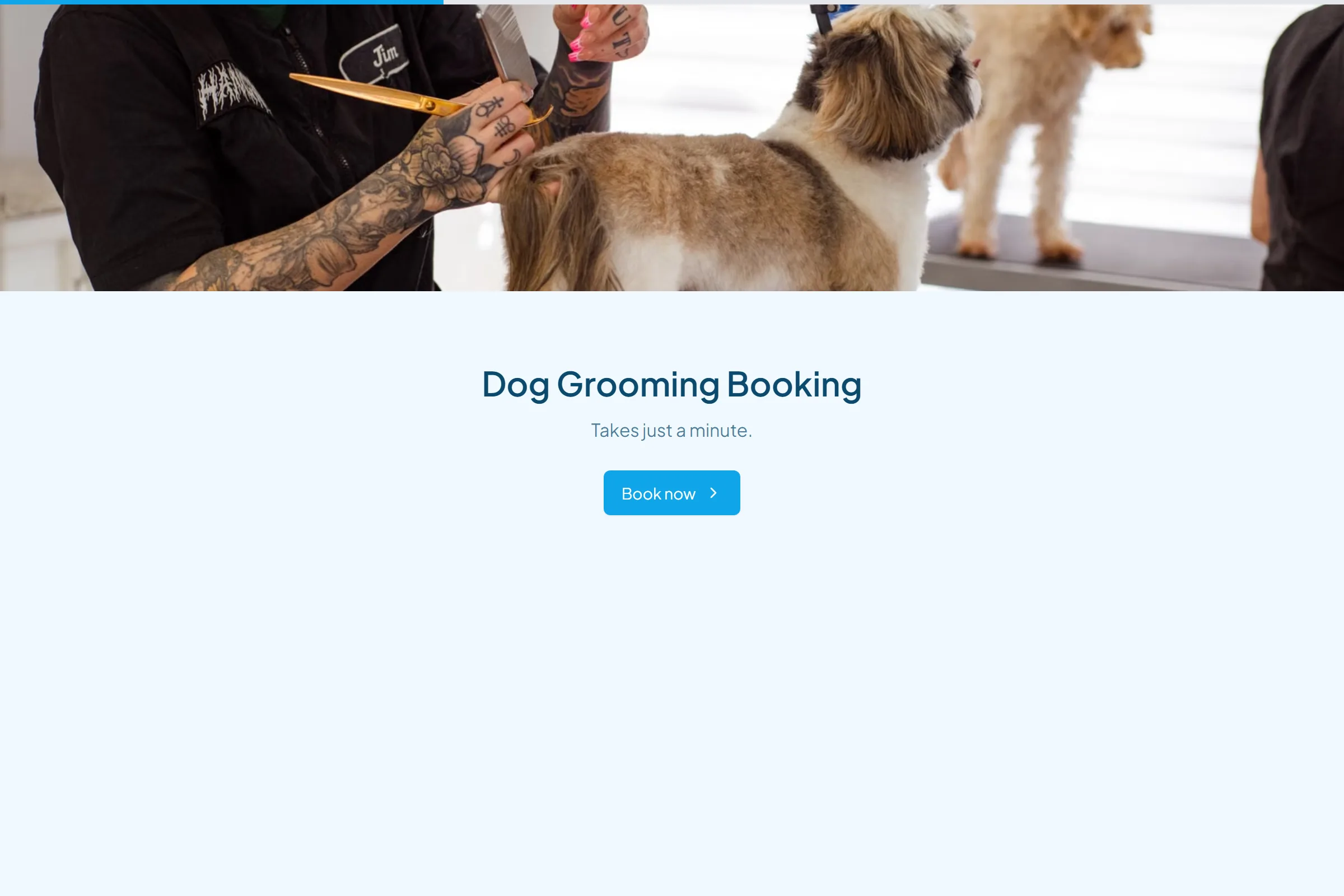 Dog Grooming Booking template preview