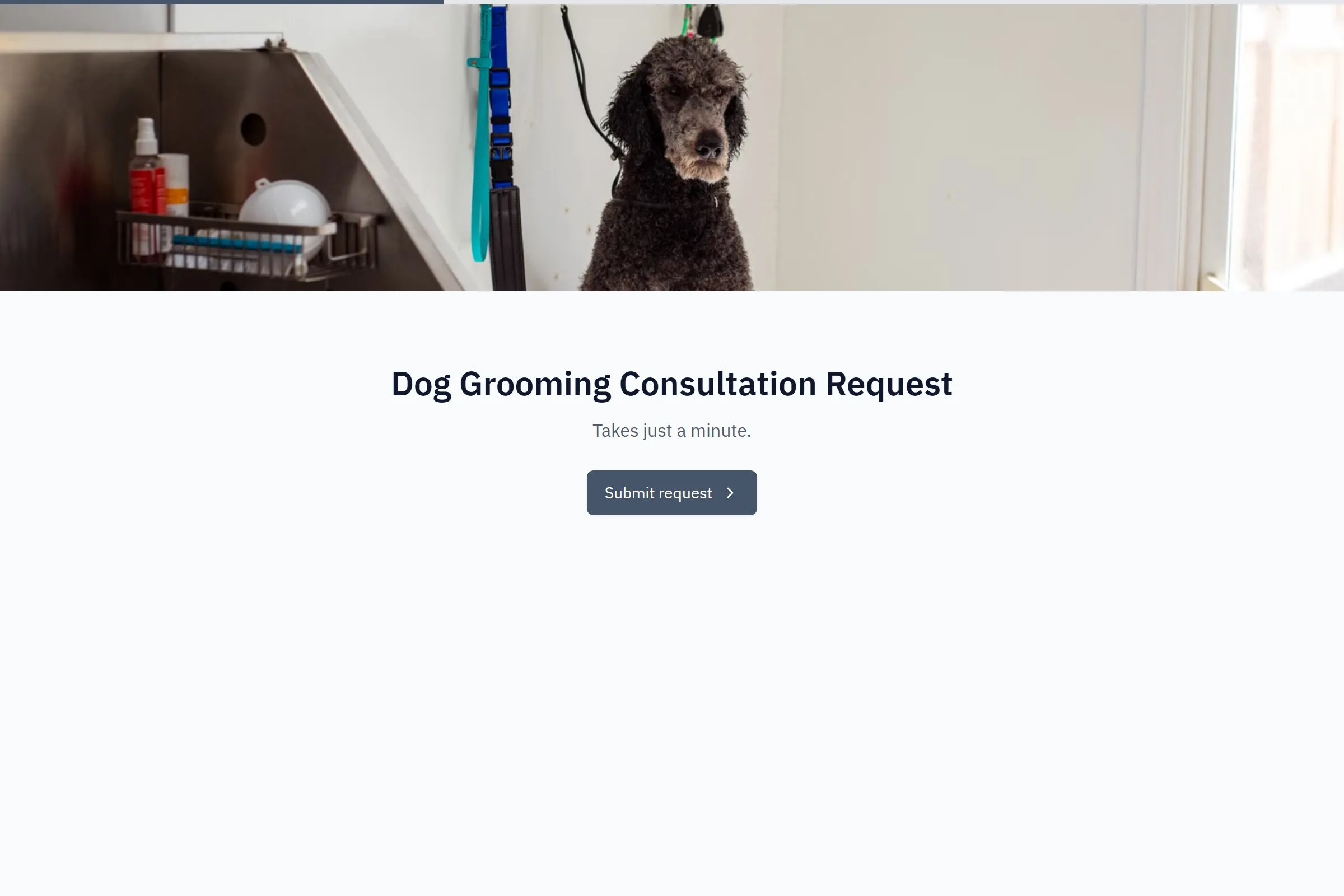 Dog Grooming Consultation Request template preview
