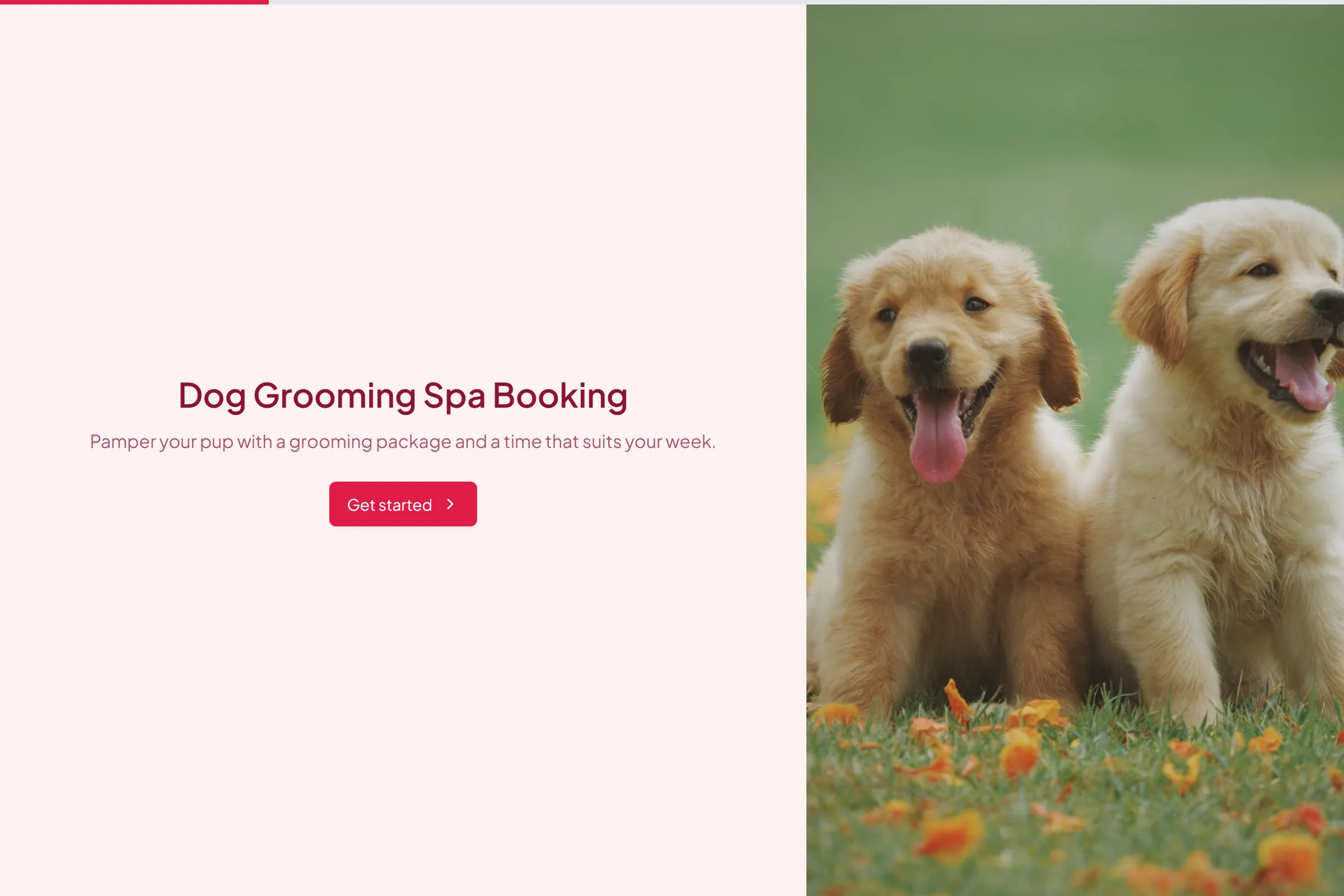 Dog Grooming Spa Booking template preview