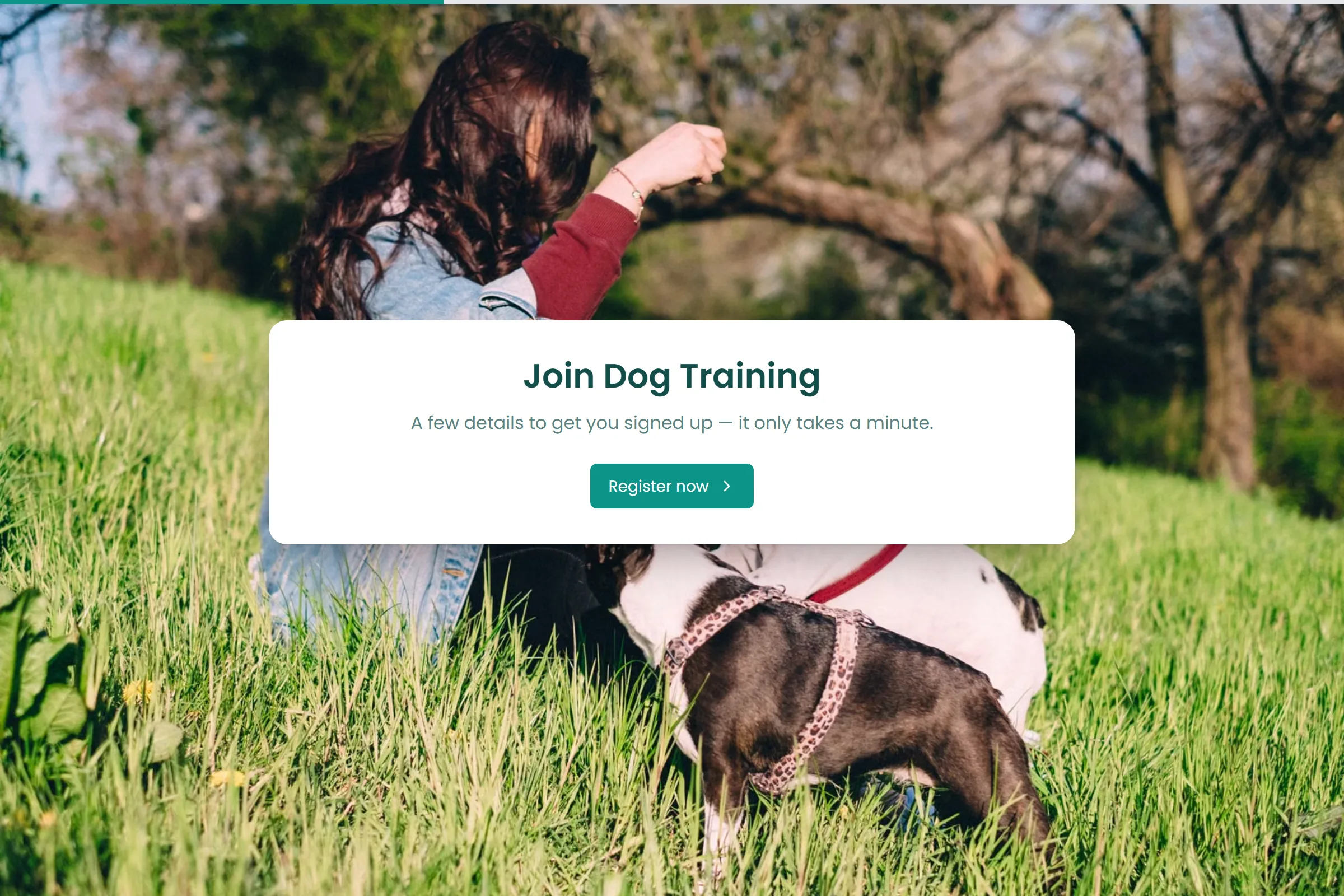 Dog Training Class Registration template preview