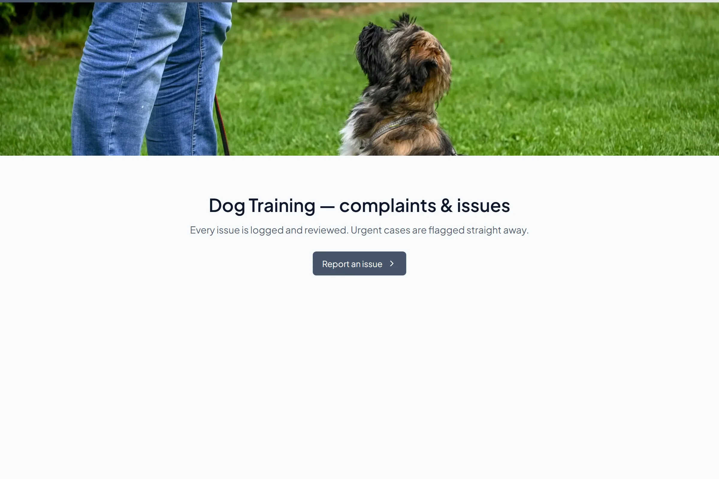 Dog Training Complaint / Issue Form template preview