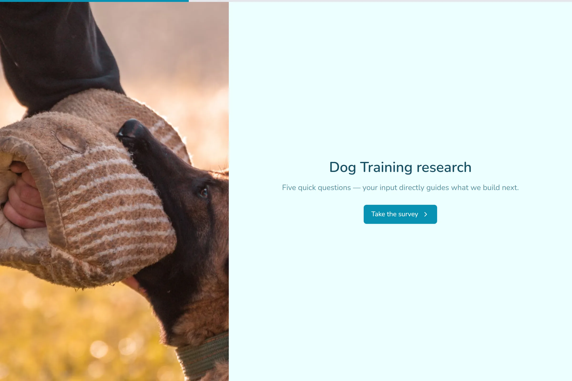 Dog Training Market Research Survey template preview