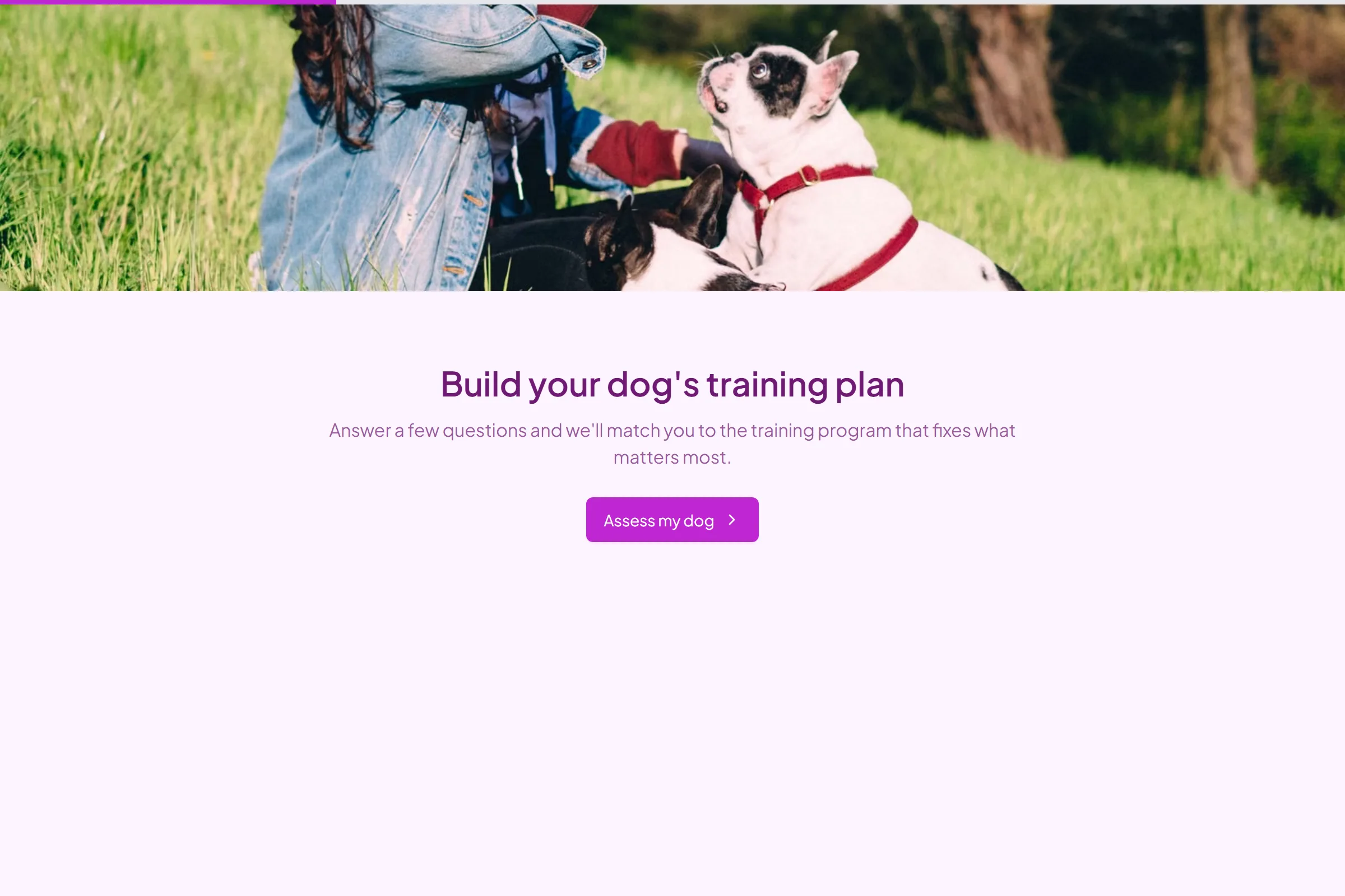 Dog Training Needs Assessment preview