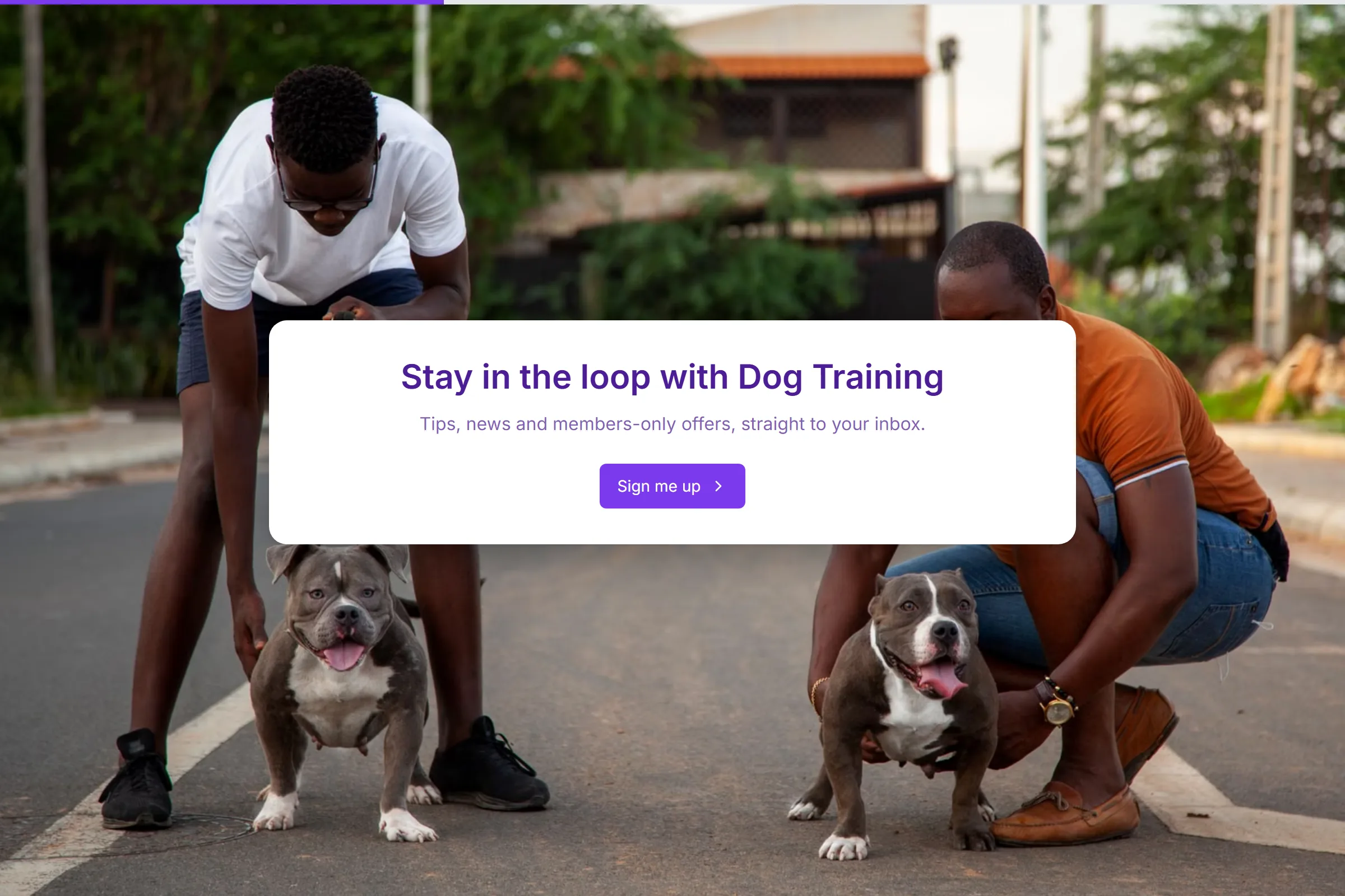 Dog Training Newsletter & Updates Signup template preview