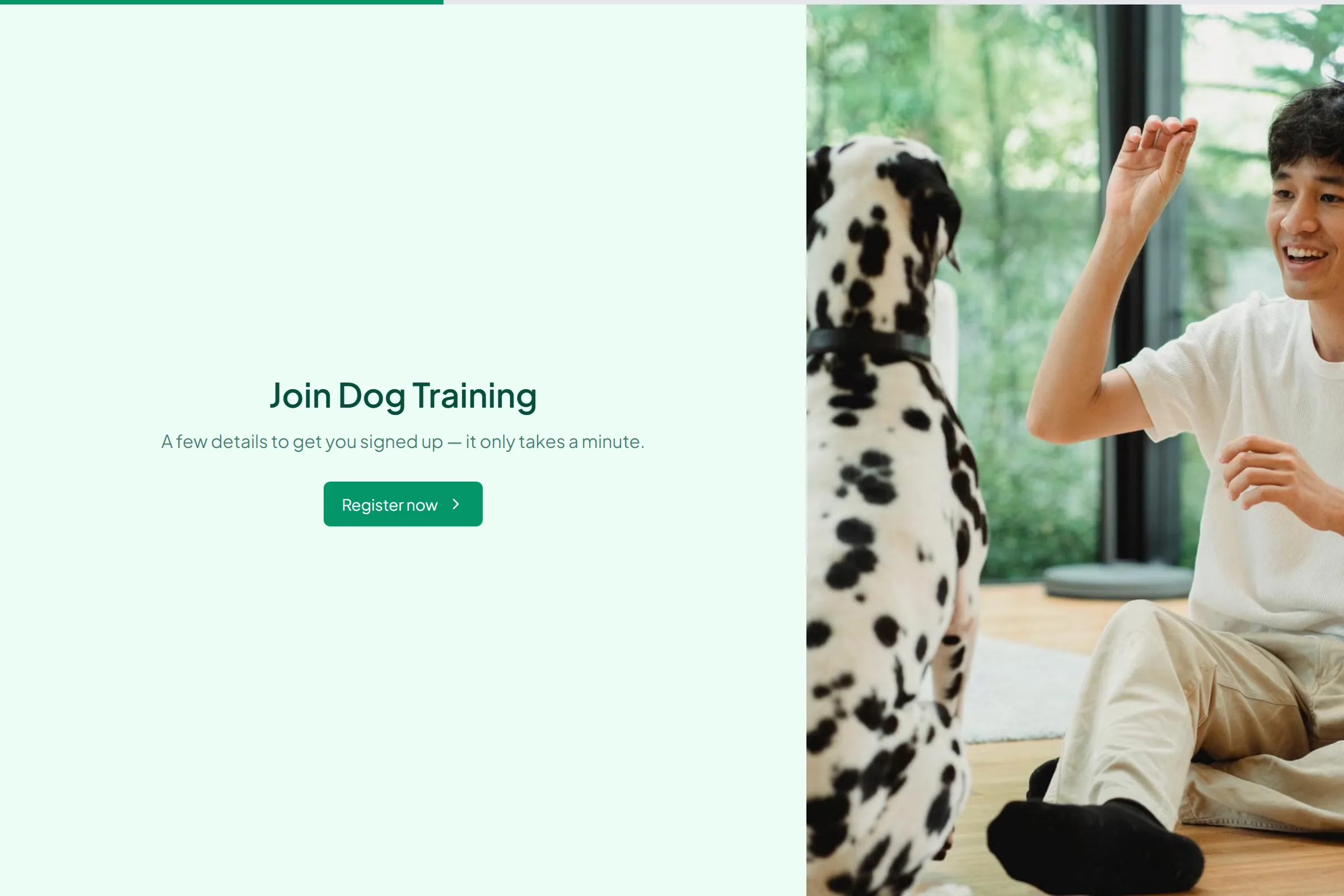 Dog Training Program Application template preview