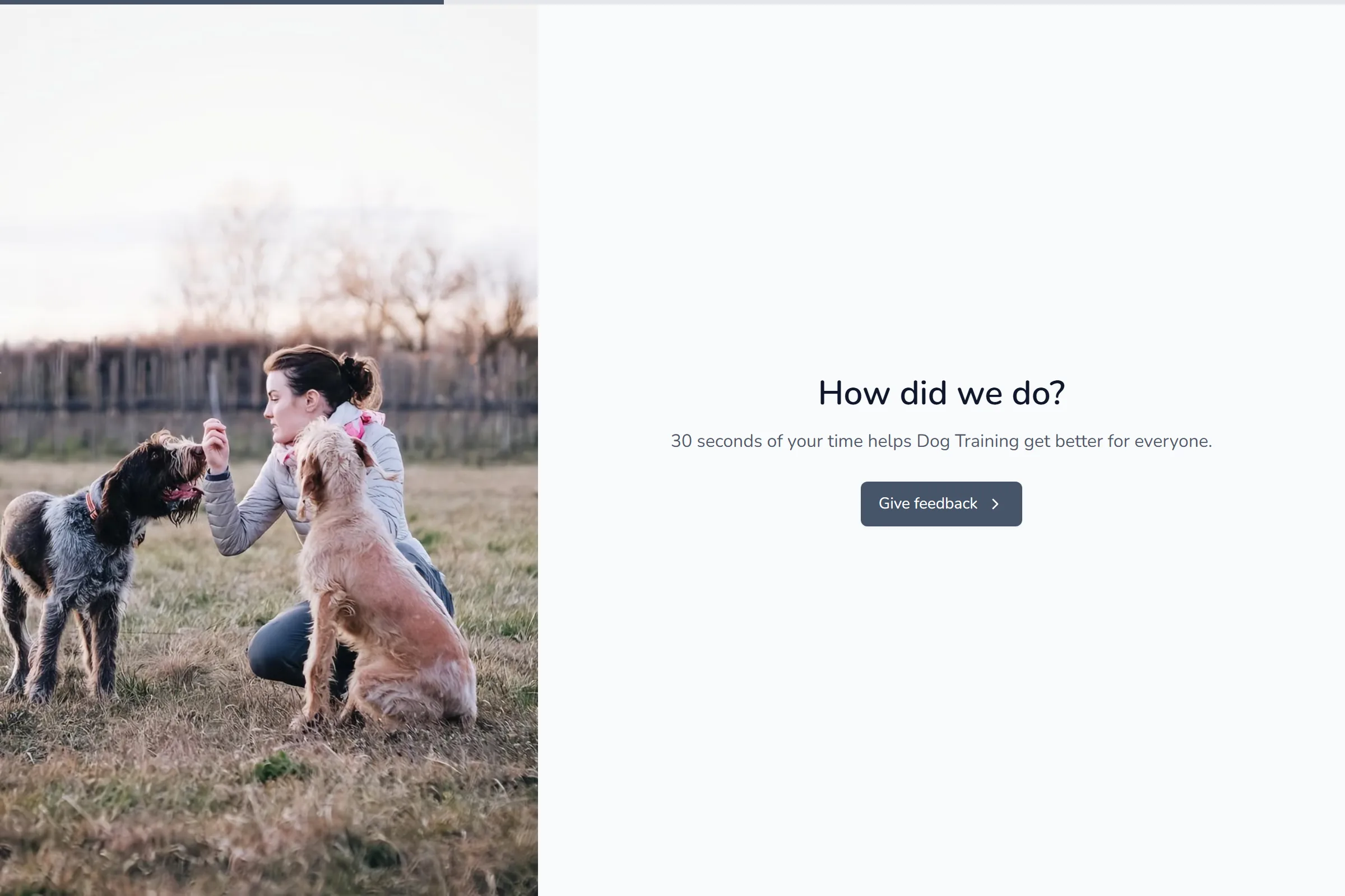 Dog Training Quick Feedback template preview