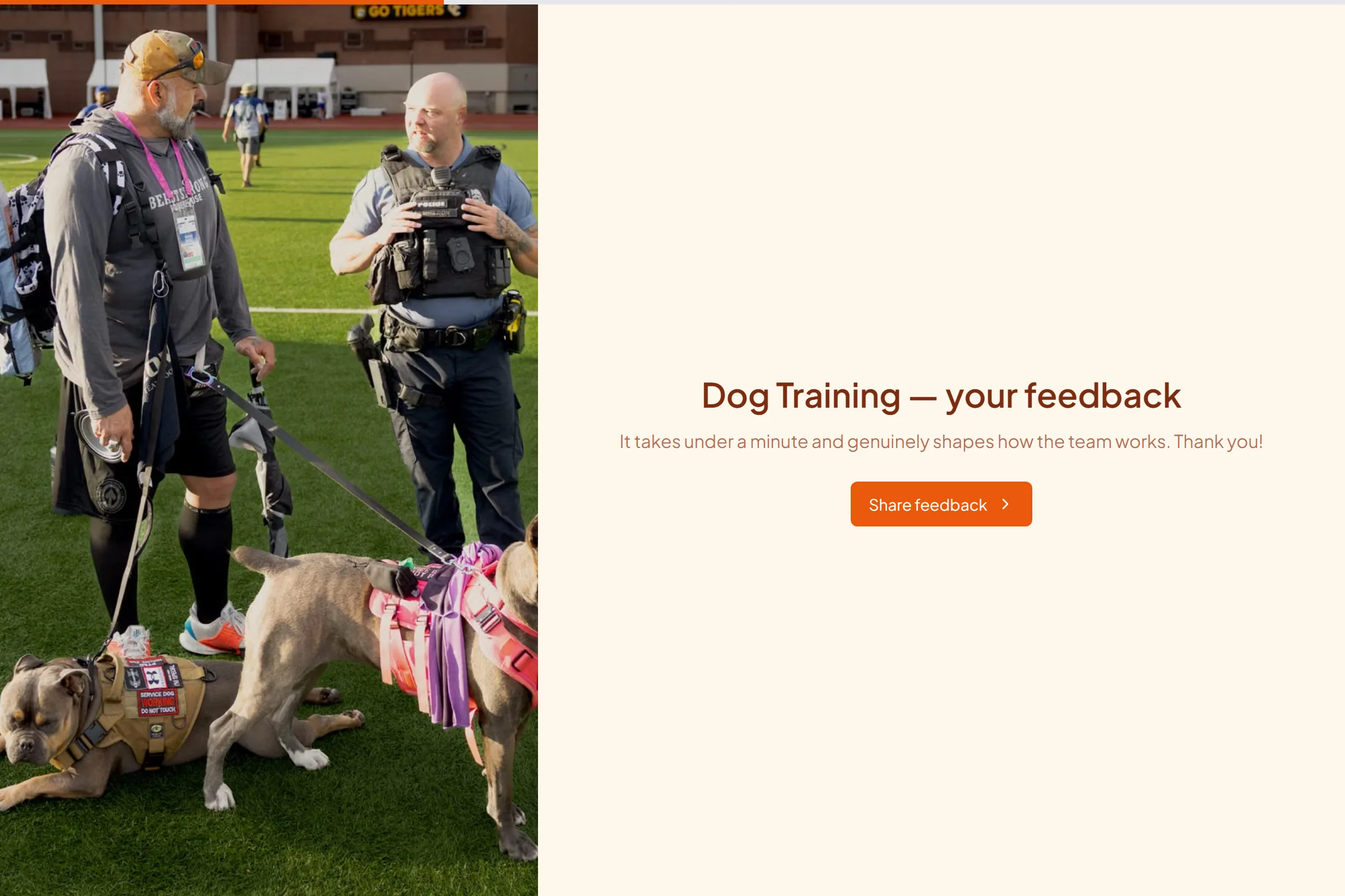 Dog Training Satisfaction Survey template preview