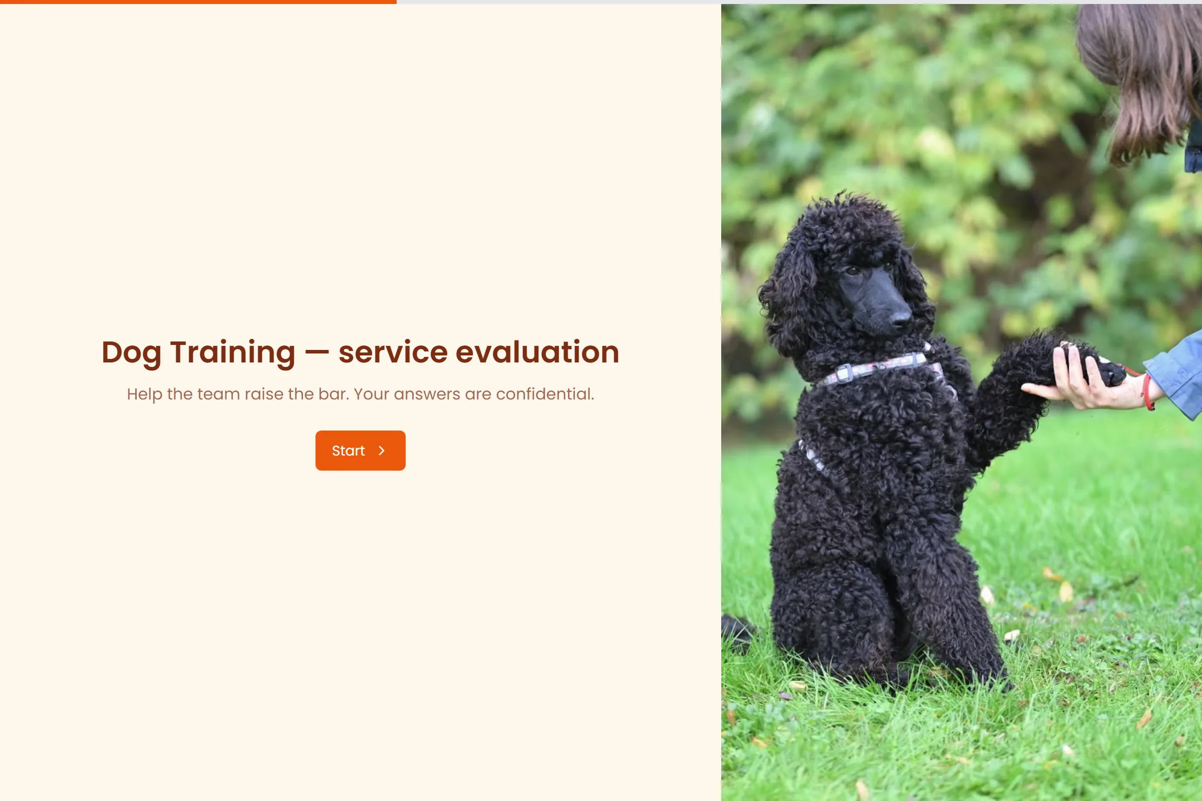 Dog Training Service Evaluation template preview