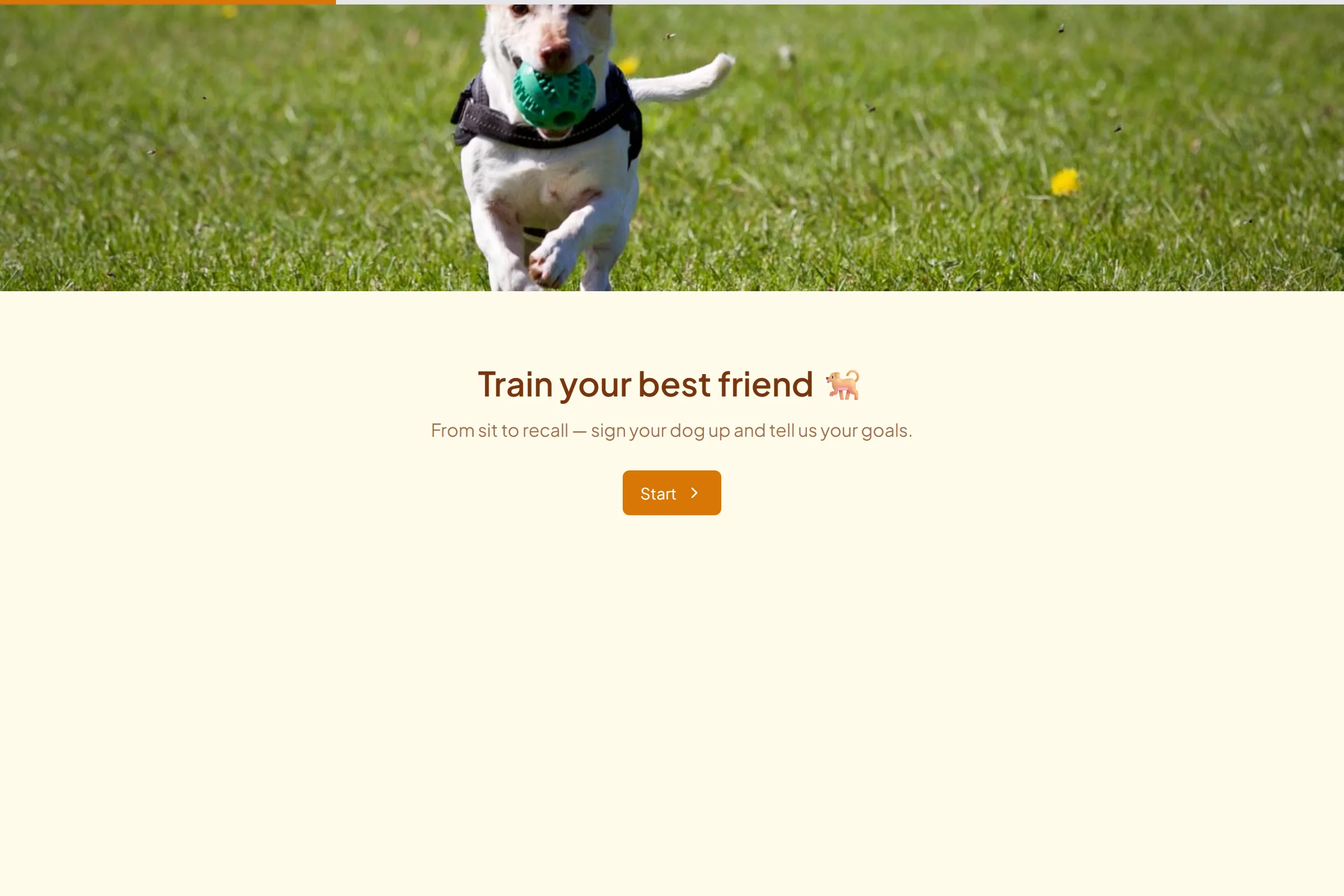 Dog Training Class Signup template preview